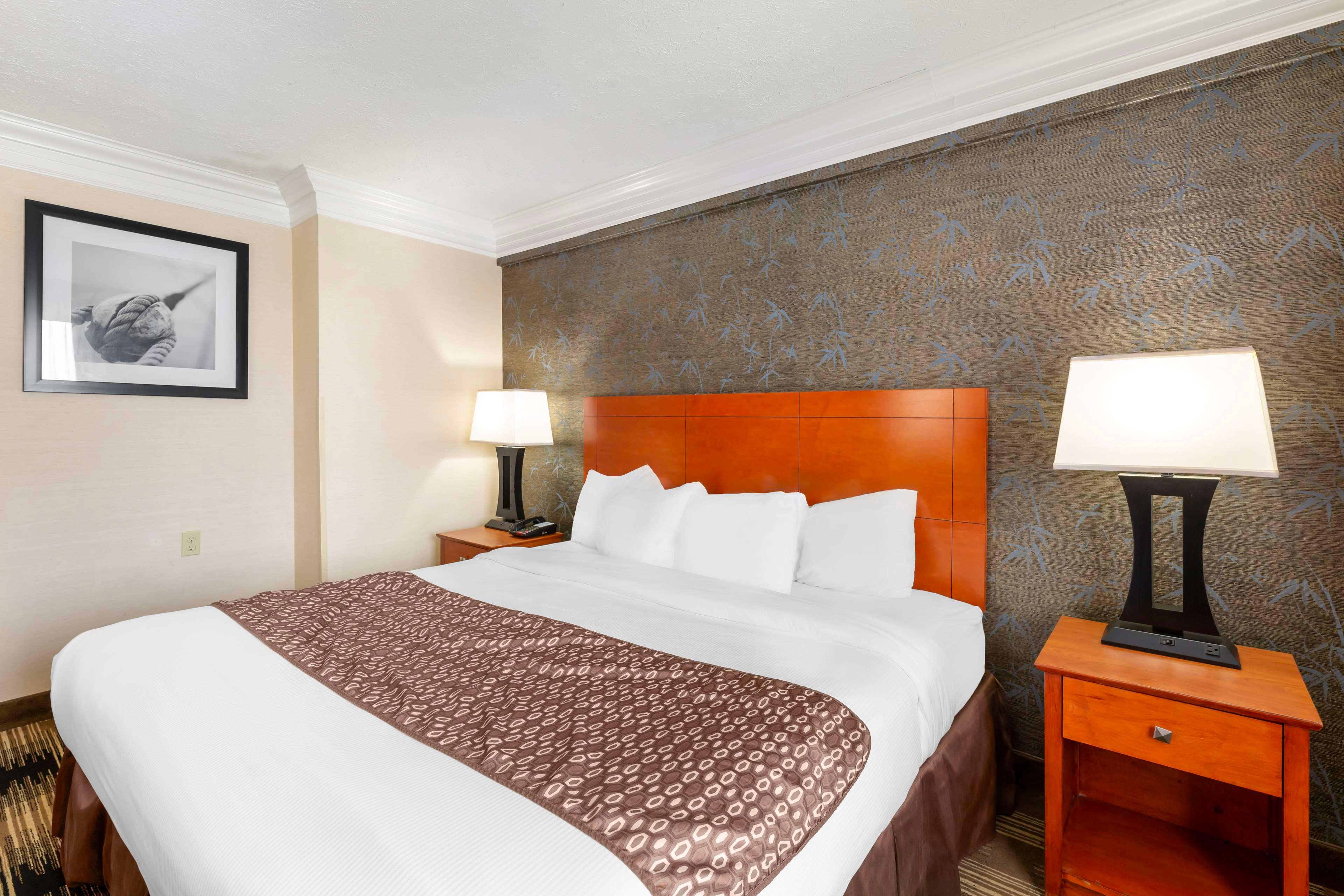 Double Accessible King Size Bed