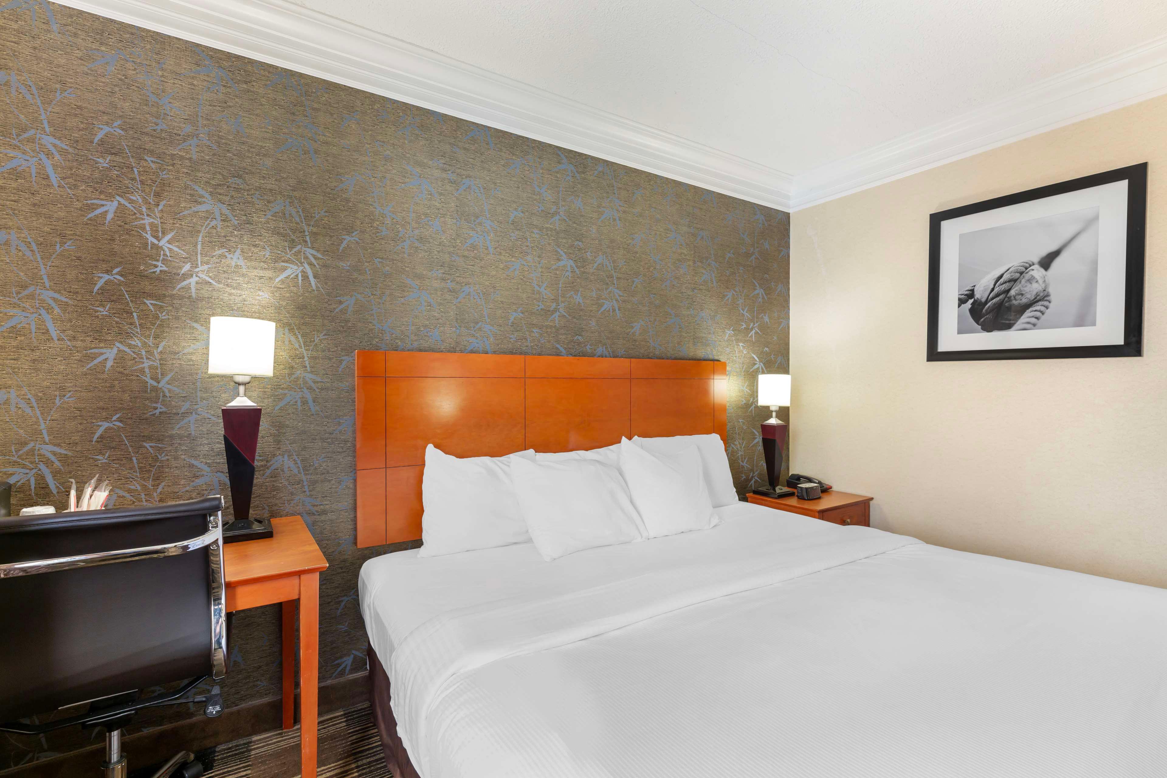 Double Accessible King Size Bed