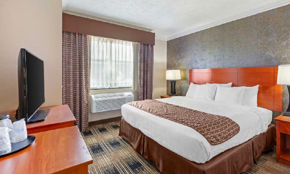 Double Executive King Bed