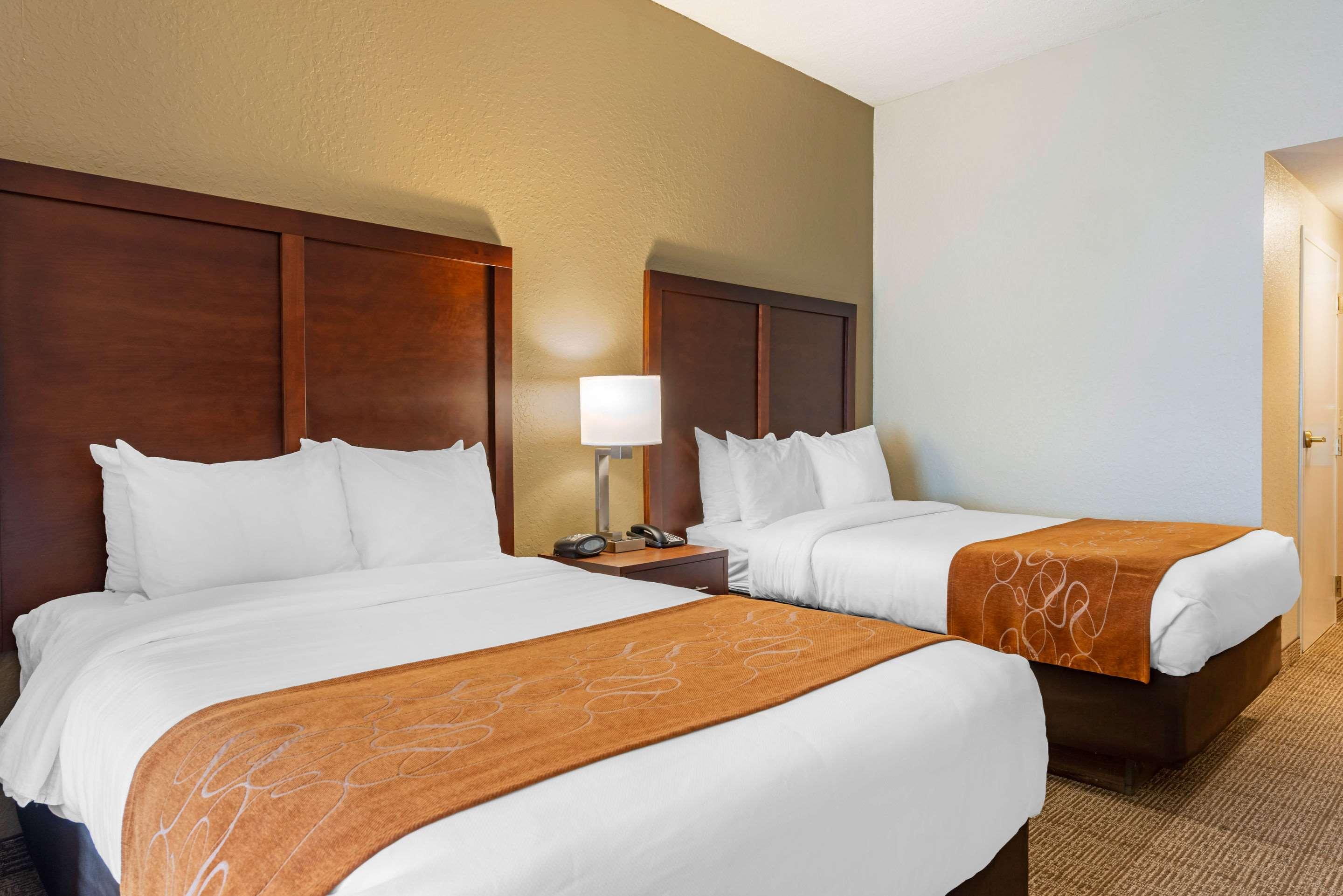 Suite Two Double Beds Non Smoking