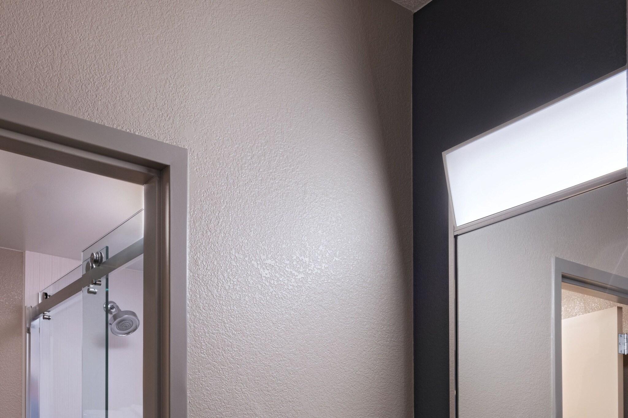 Suite King Bed One Bedroom 