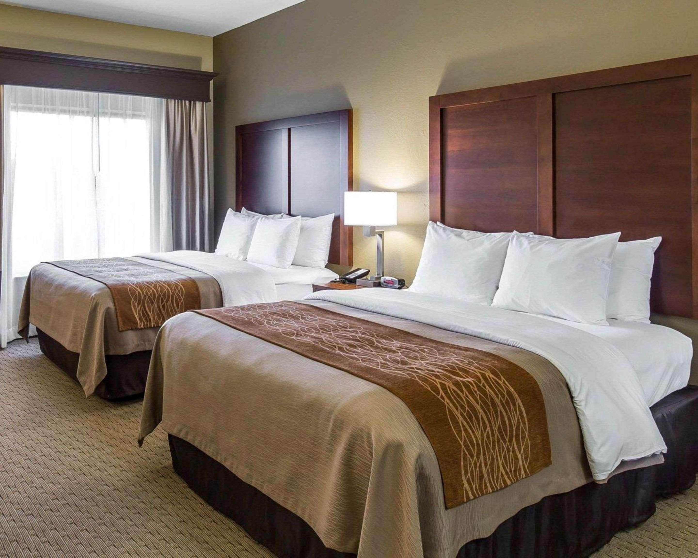 Double Two Queen Beds