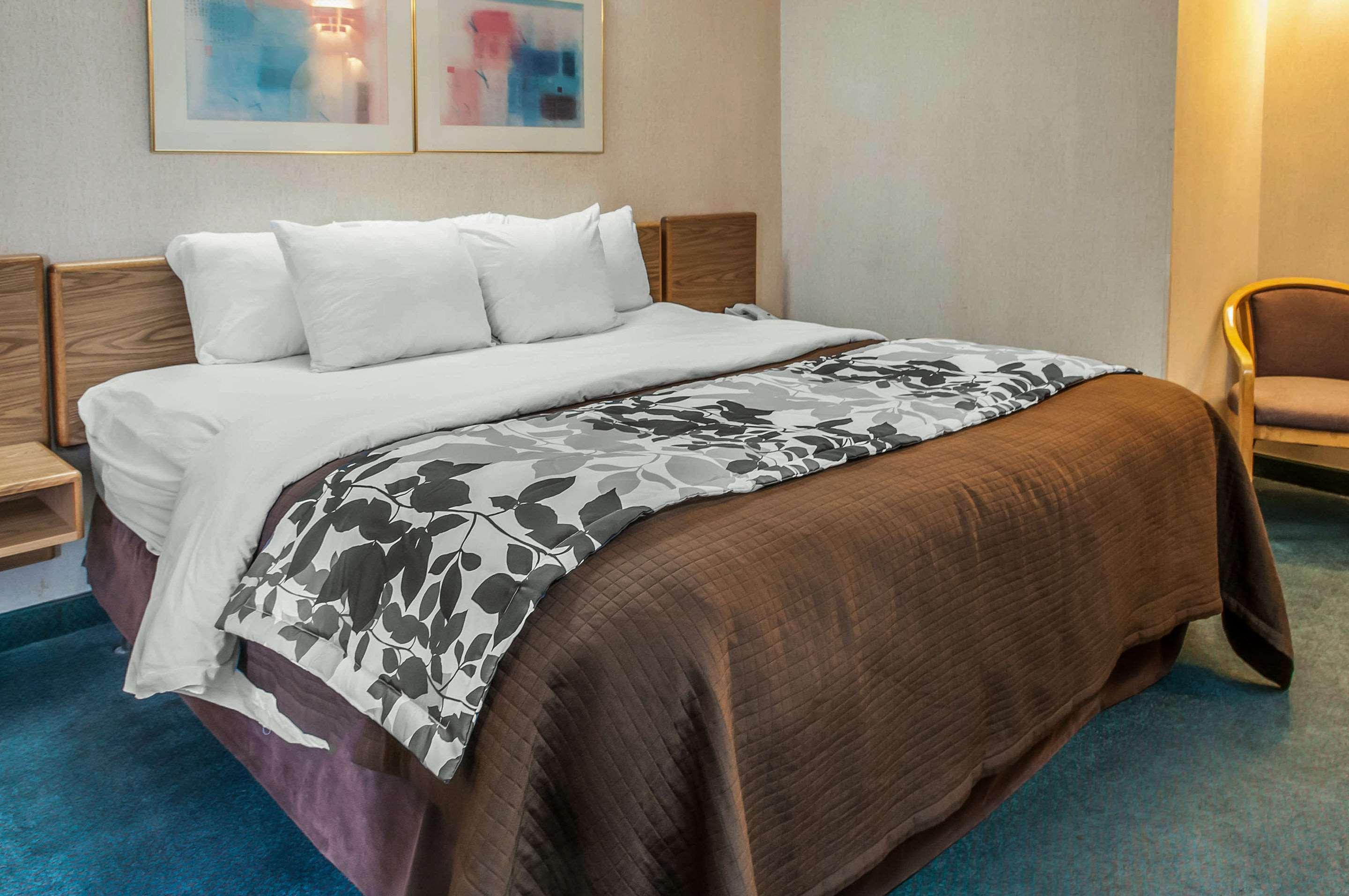 Double King Bed Non Smoking