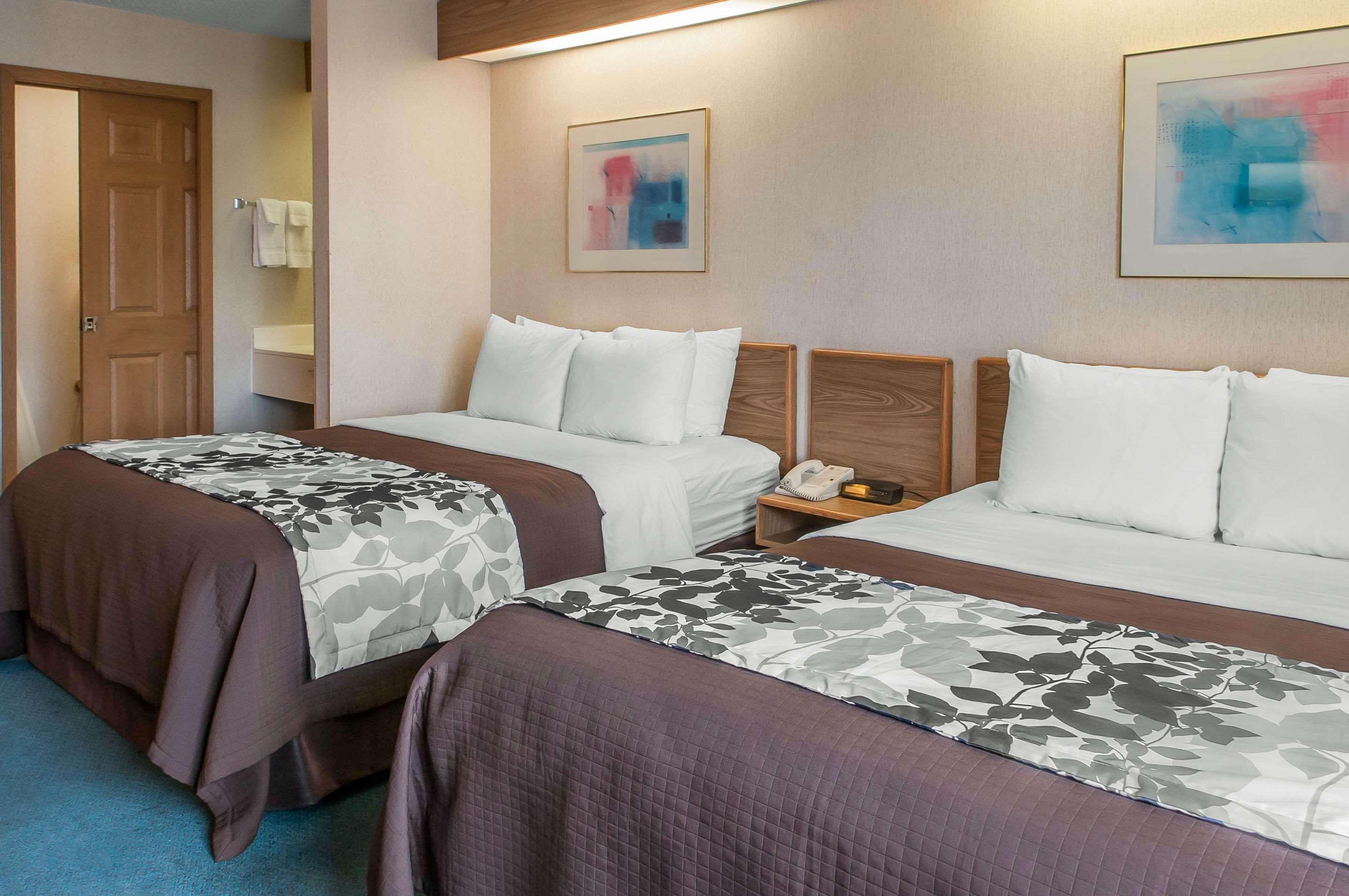 Double Two Queen Beds Non Smoking