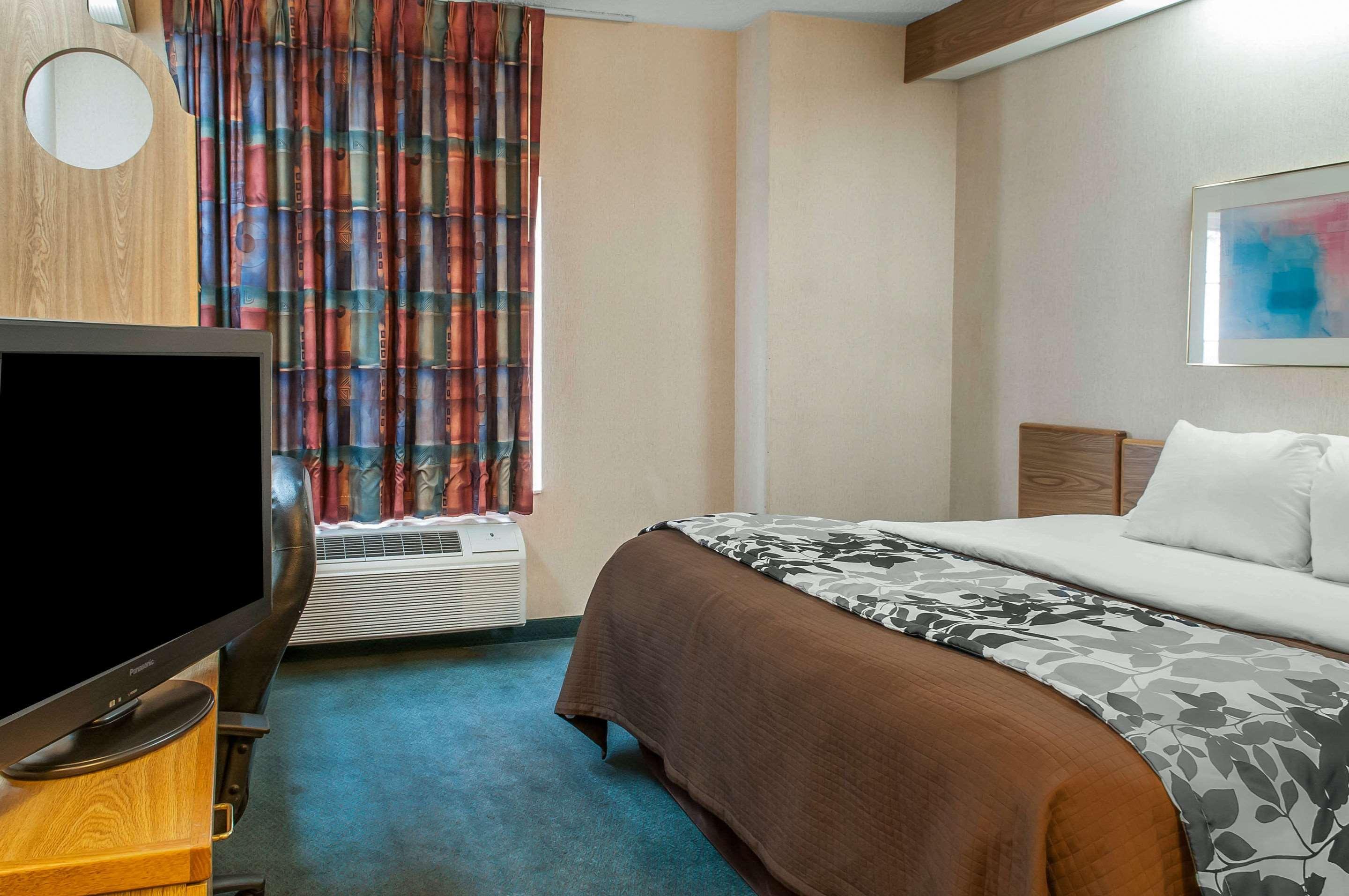 Double King Bed Non Smoking