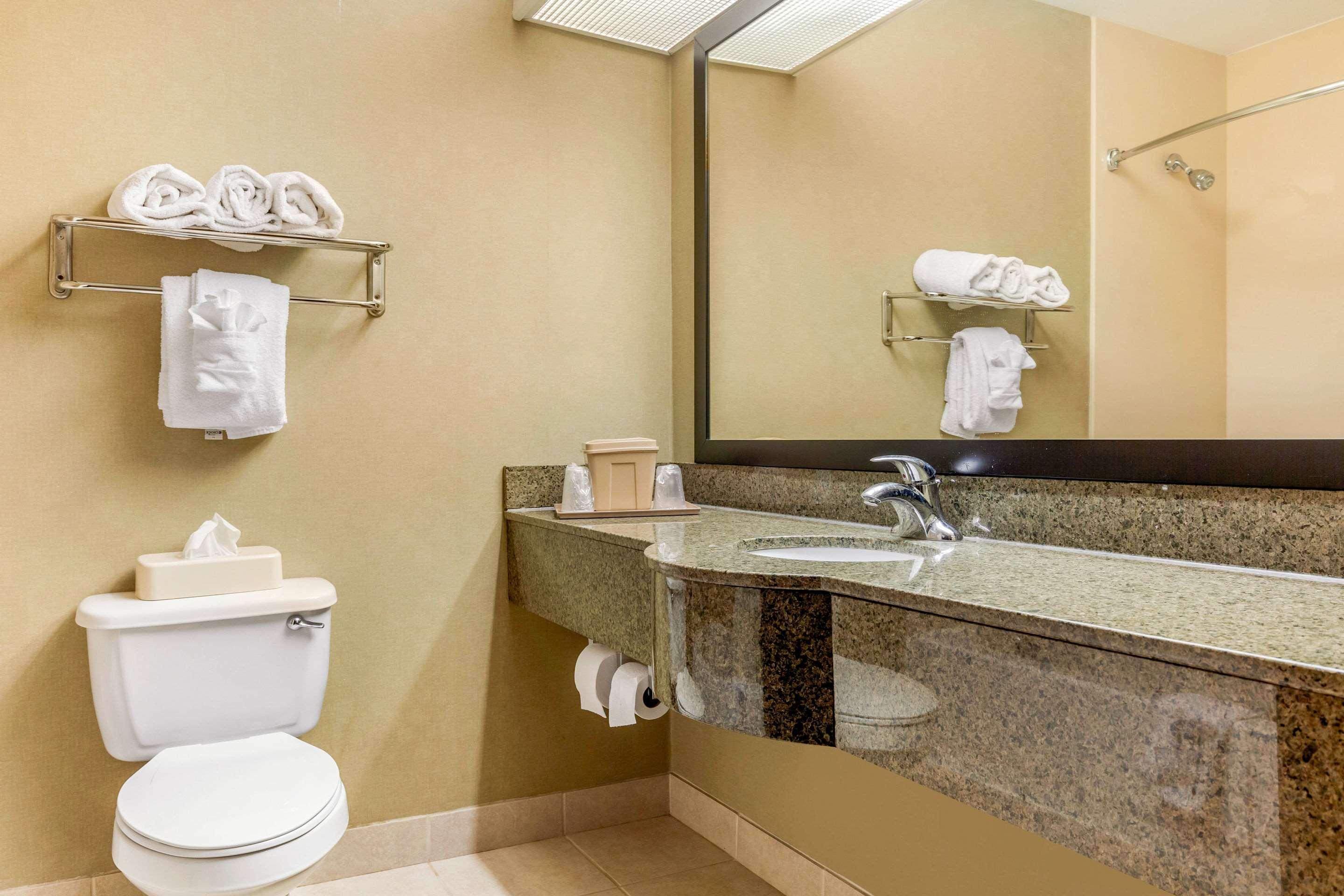 Suite King Bed Non Smoking