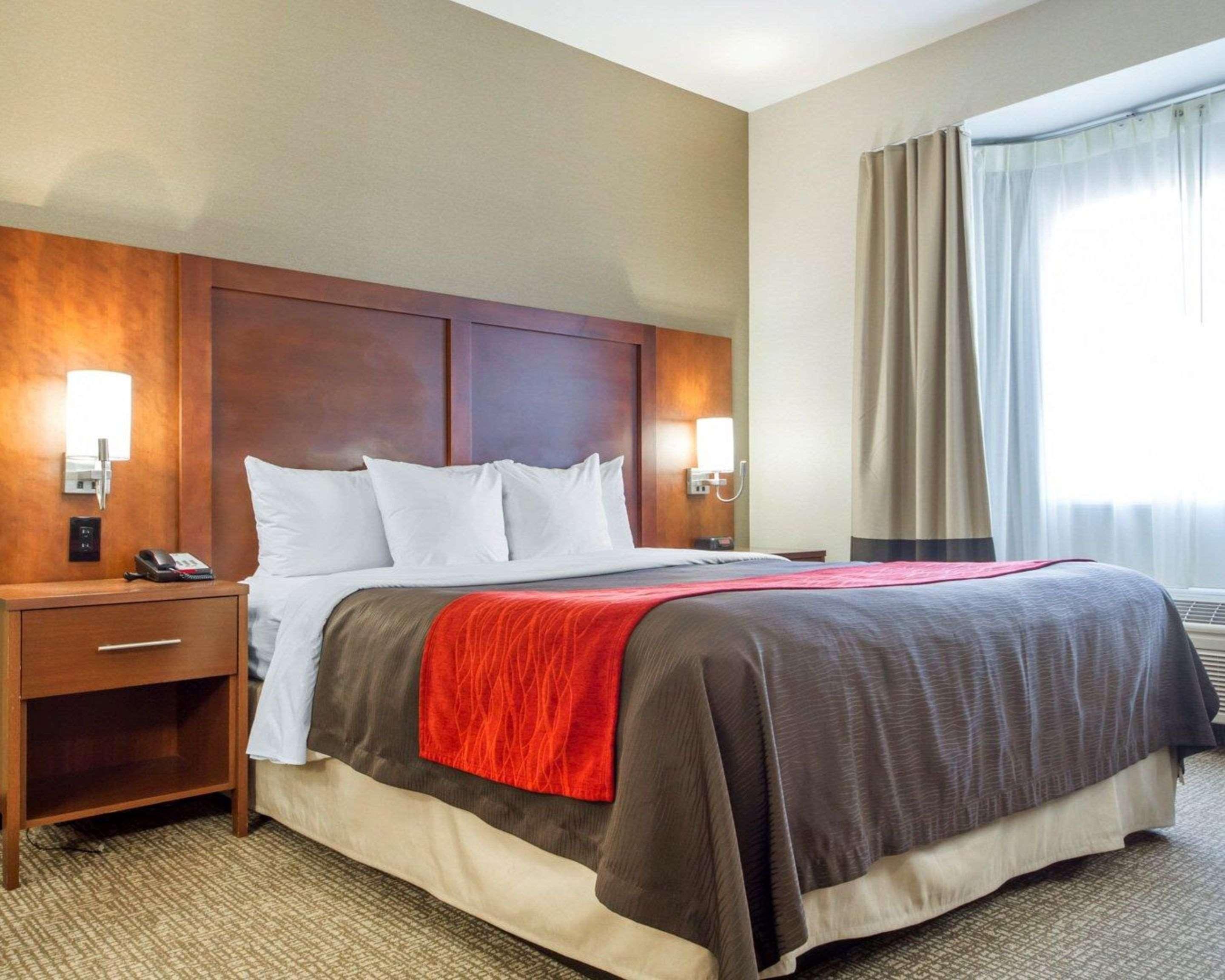 Double King Bed Non Smoking