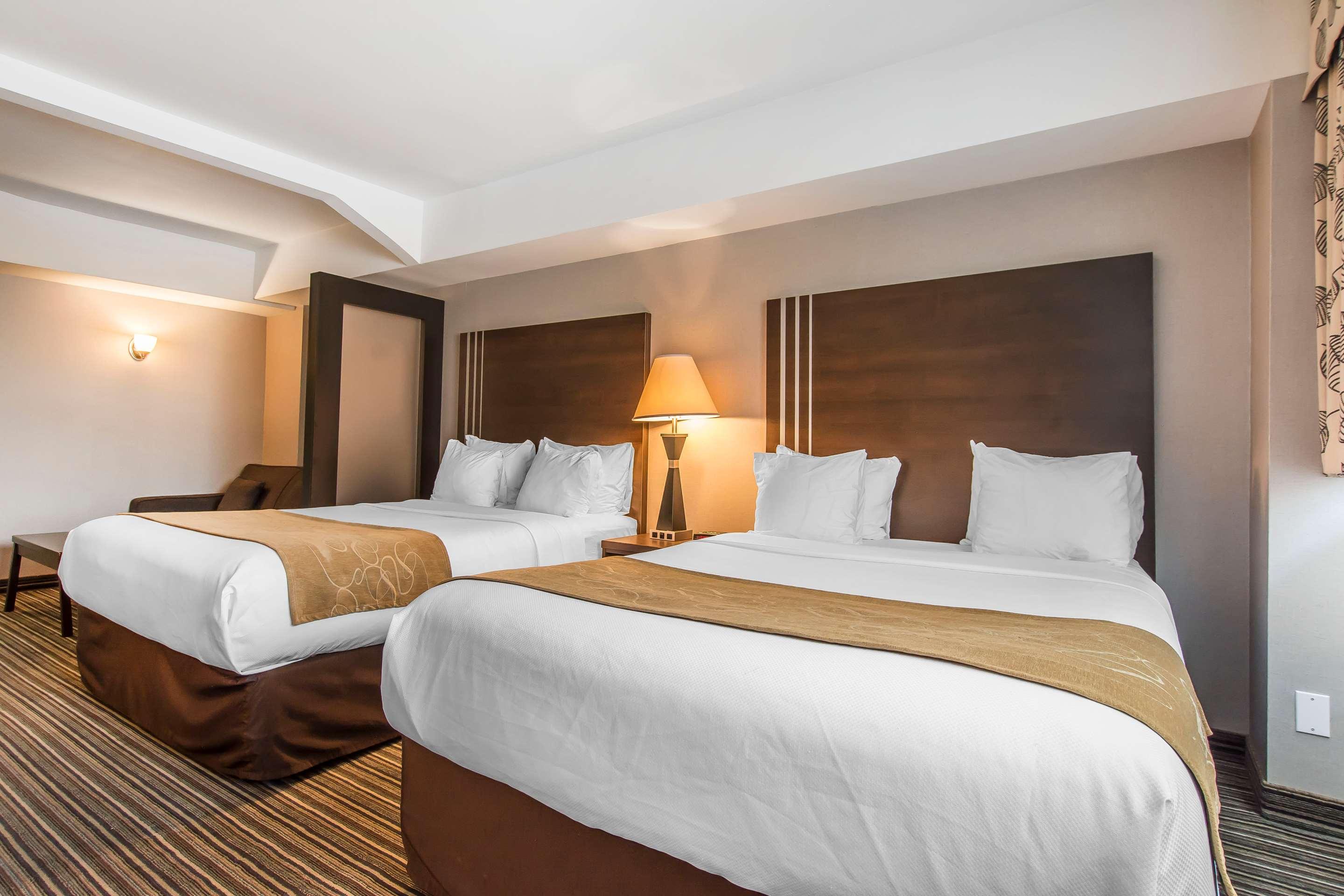 Double Two Queen Beds