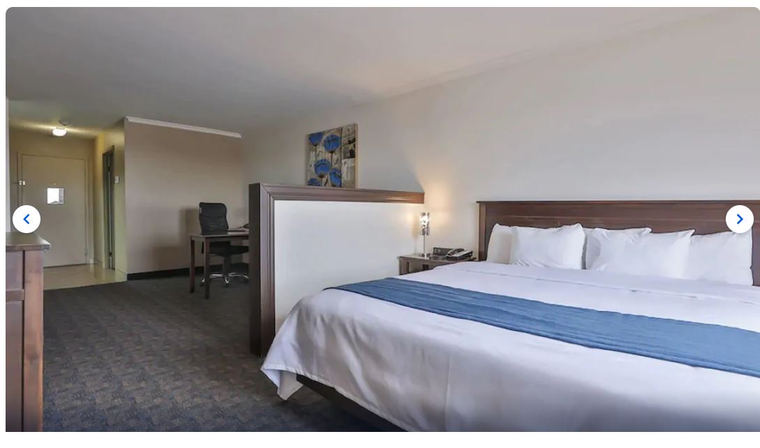 Suite King Bed Non Smoking