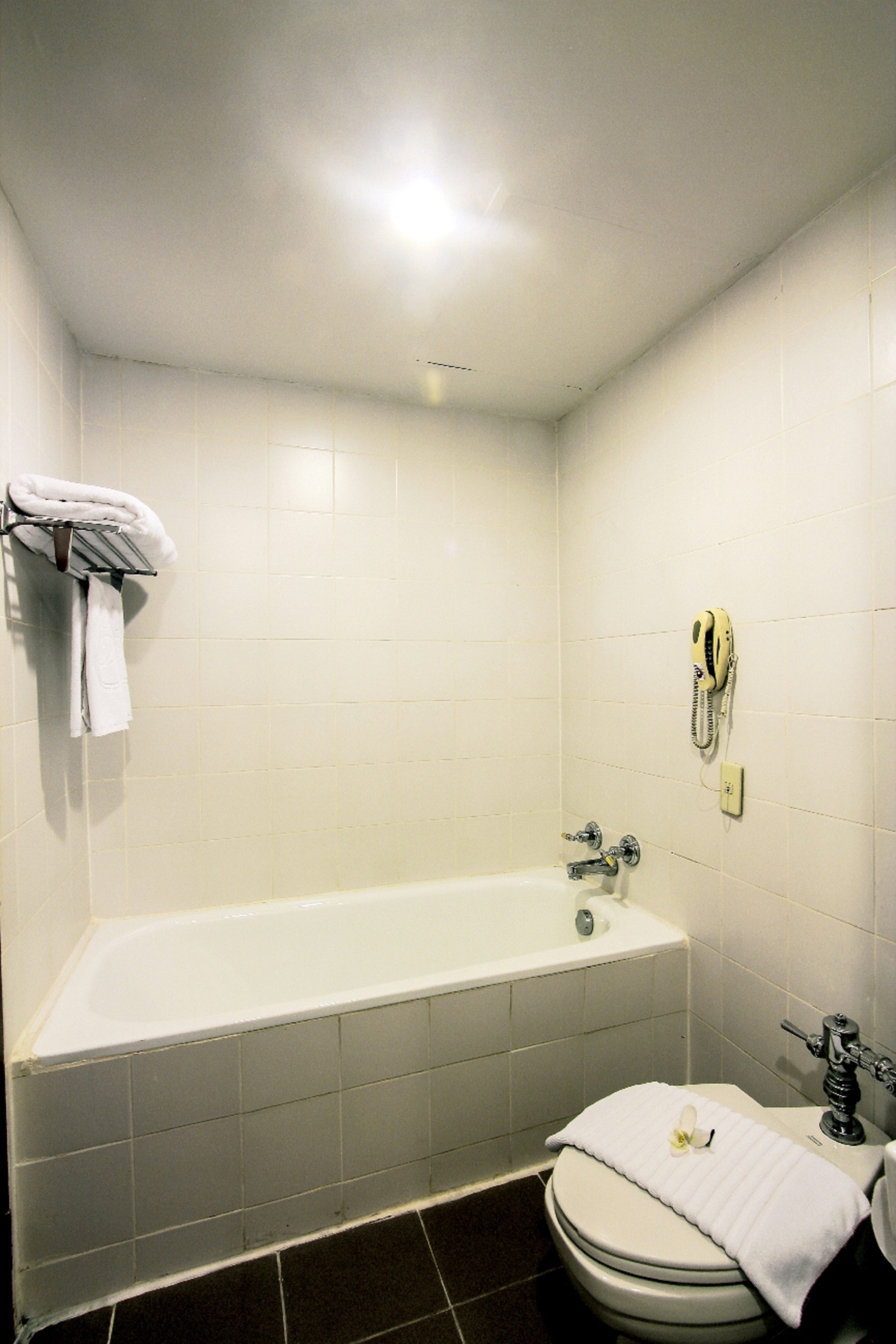 Double or Twin Superior