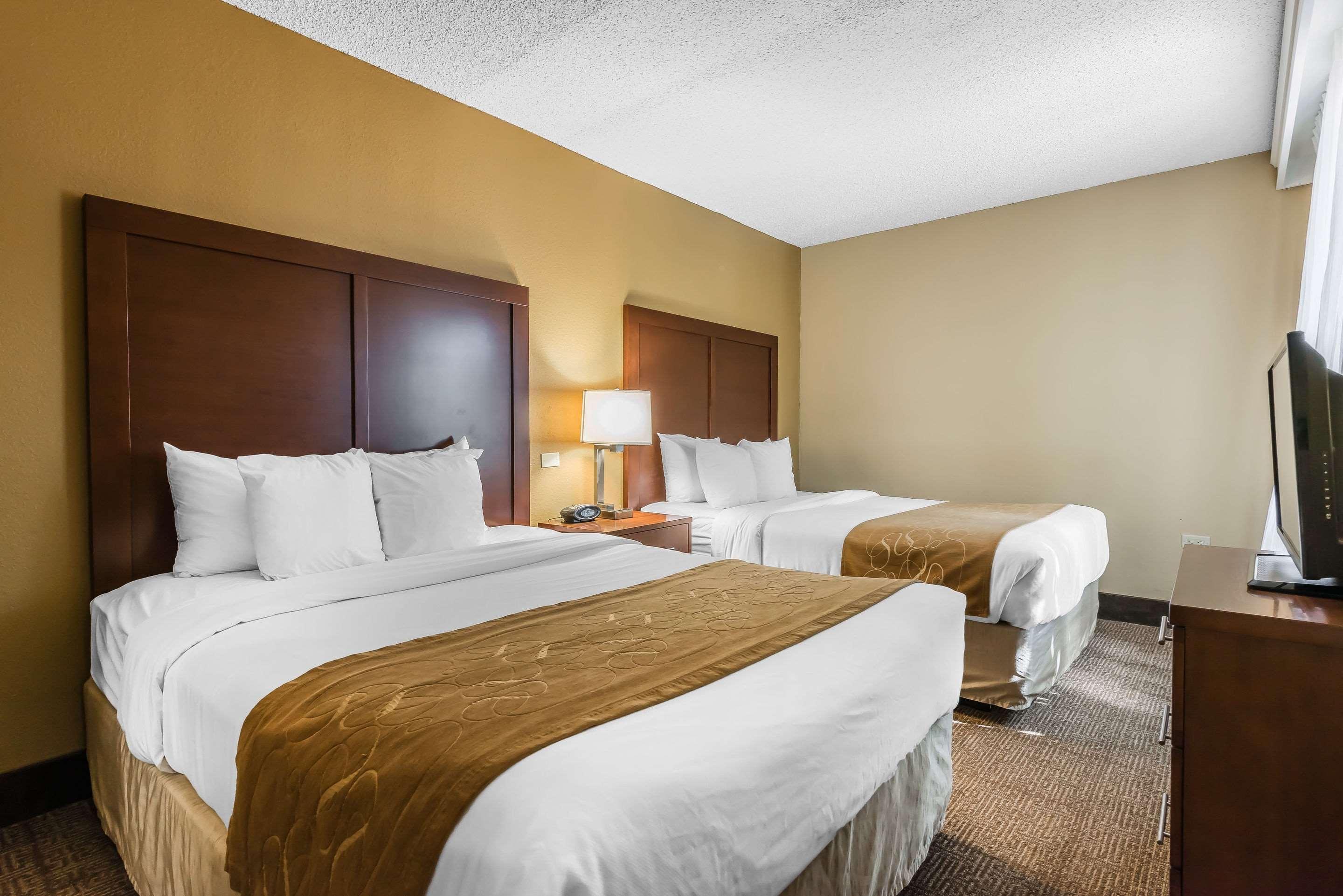 Suite Two Queen Beds