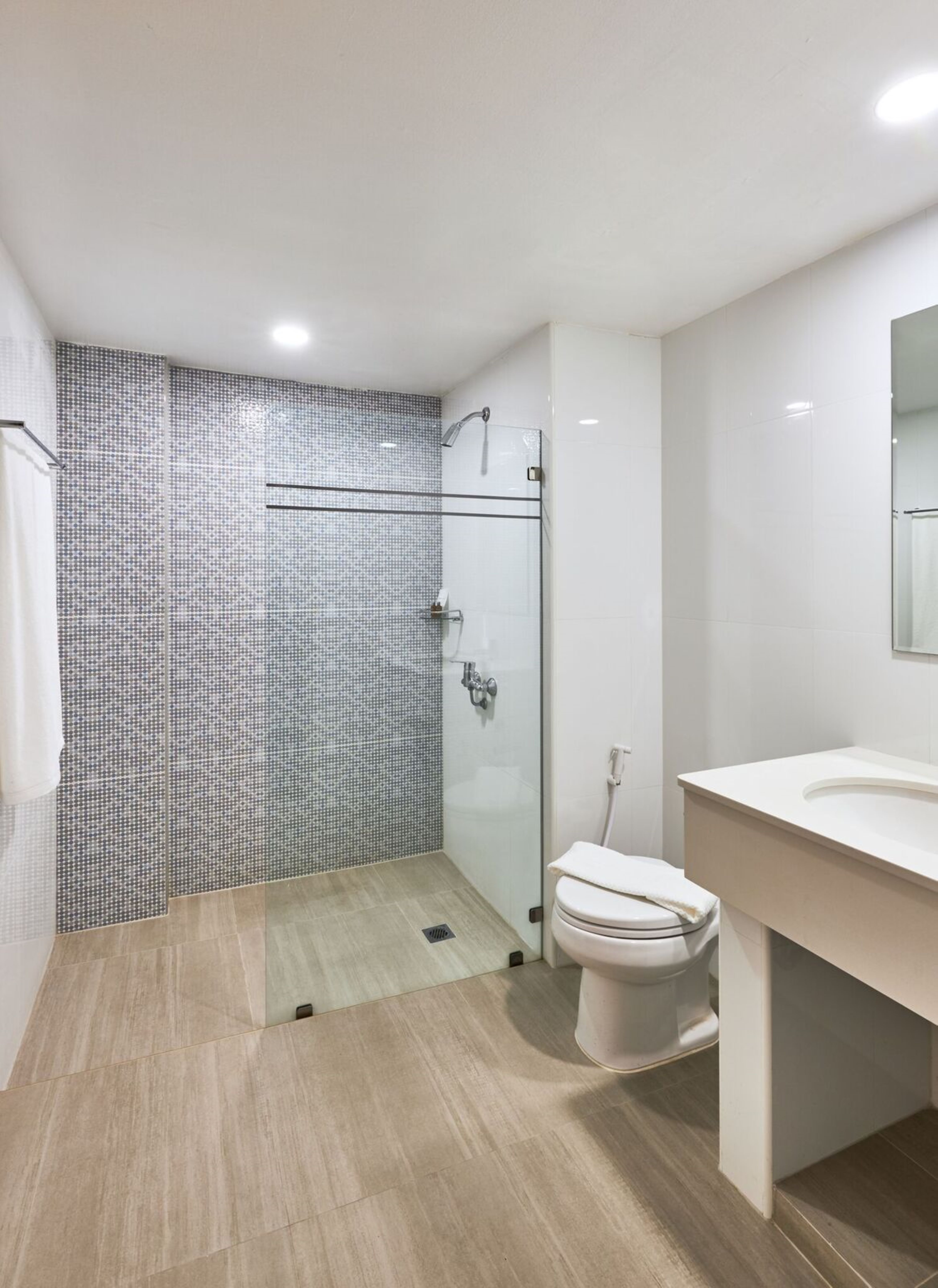 Double or Twin Superior