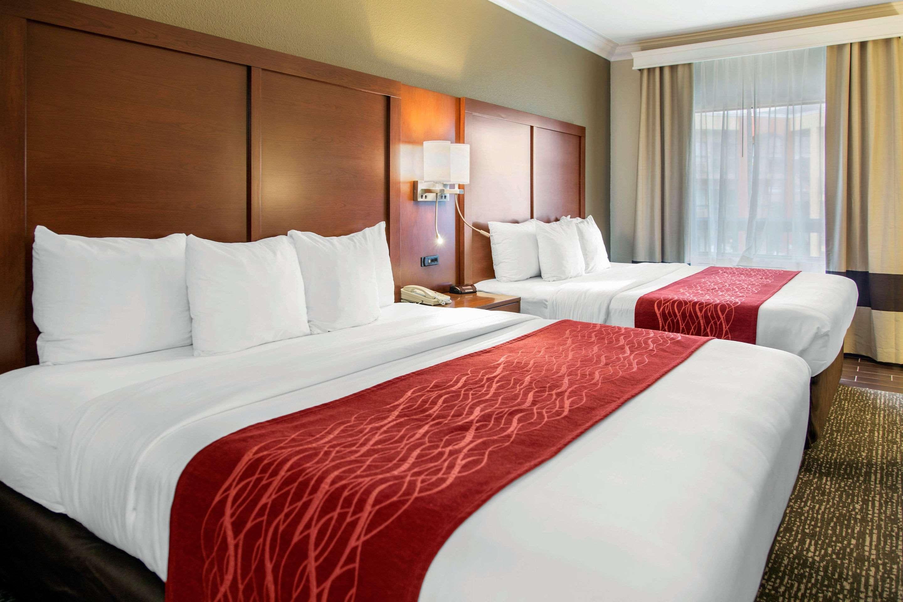 Double Two King Beds