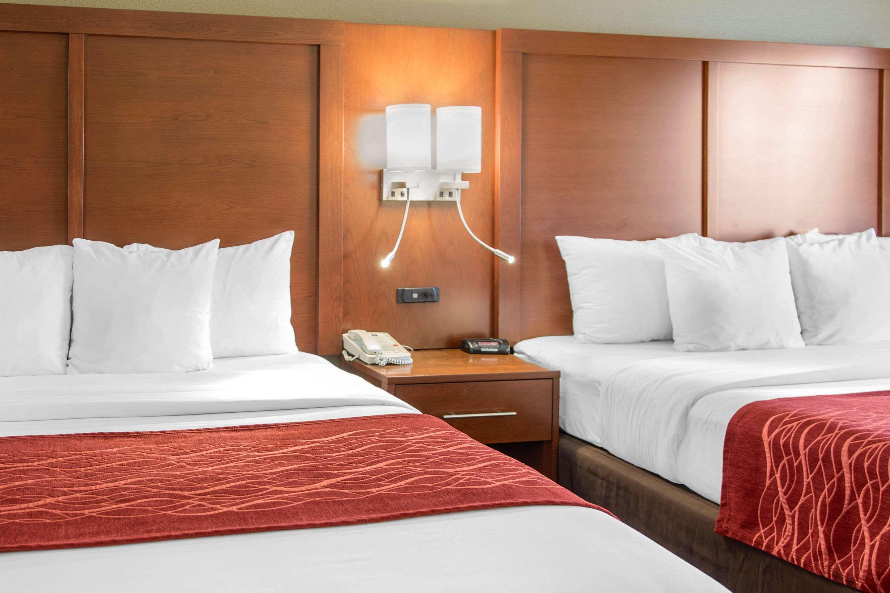 Double Two King Beds