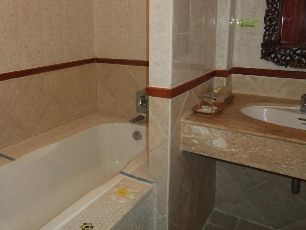 Double or Twin Superior