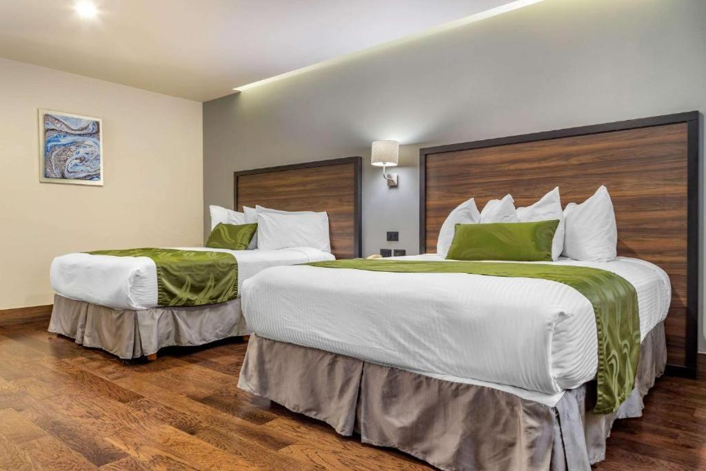 Twin Two Double Beds