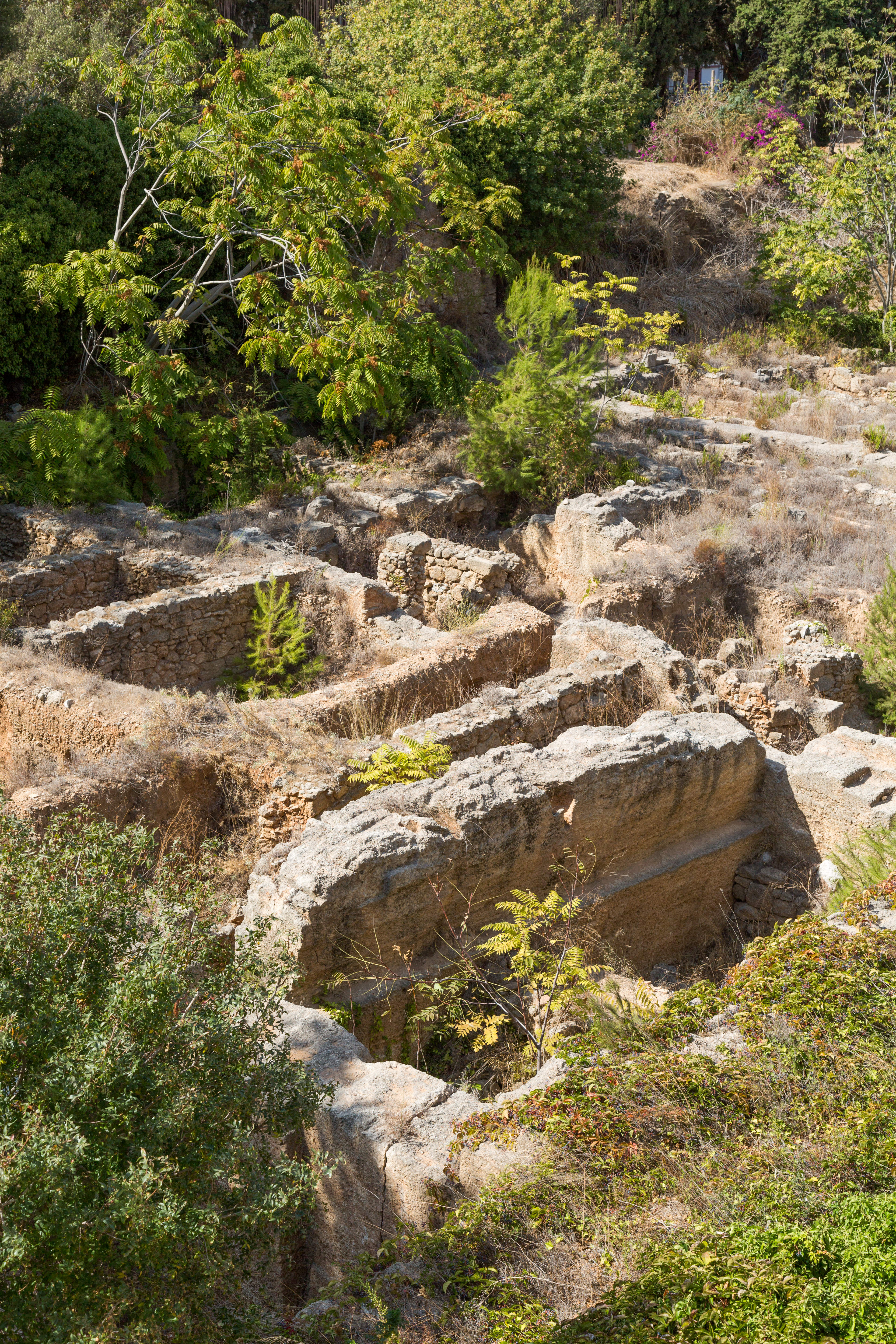 Double or Twin City View