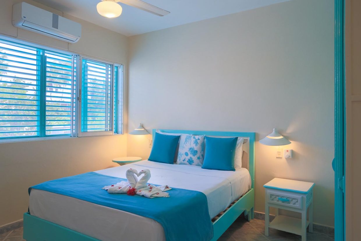 Apartment One Bedroom