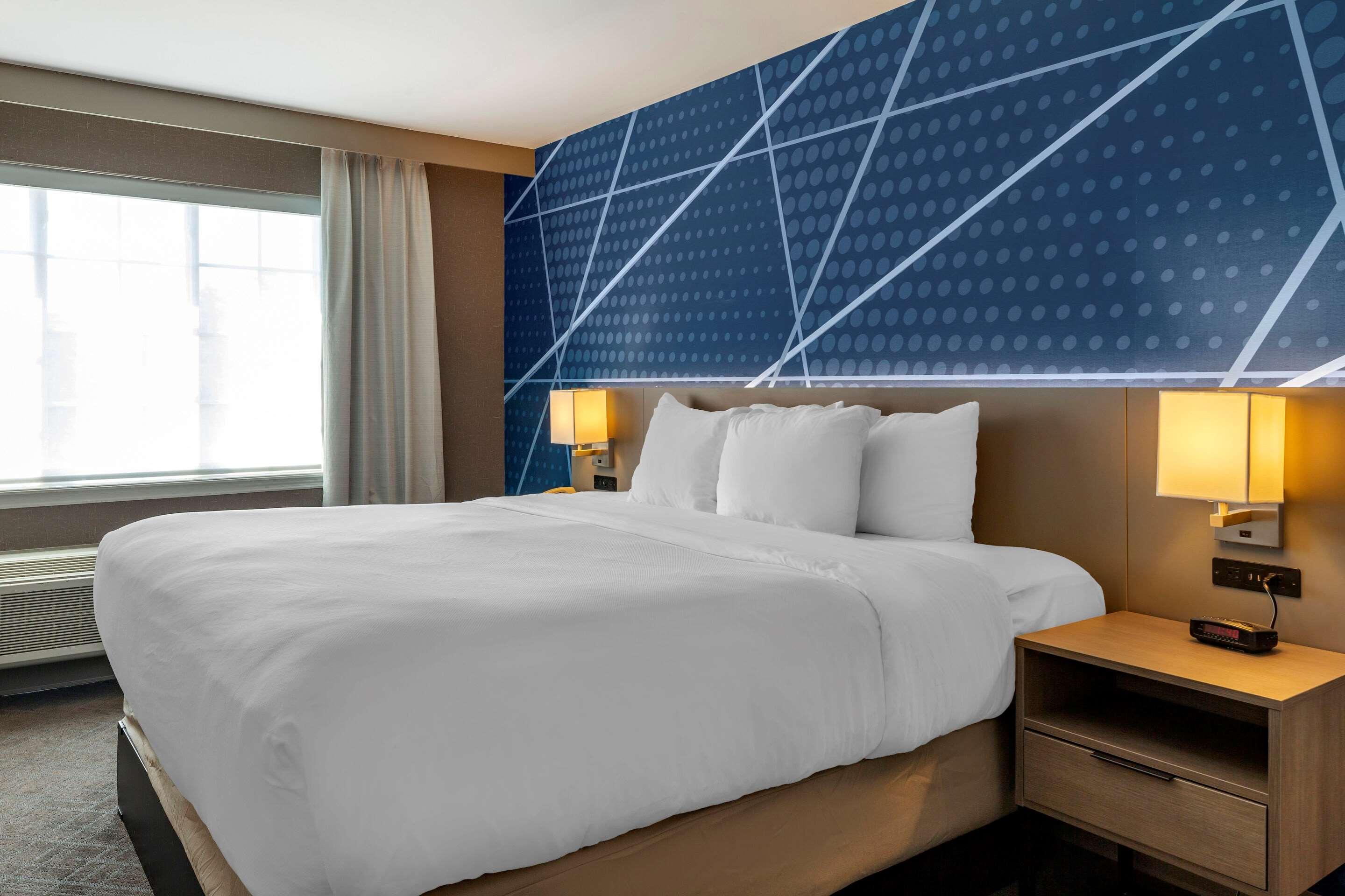 Suite King Bed Non Smoking