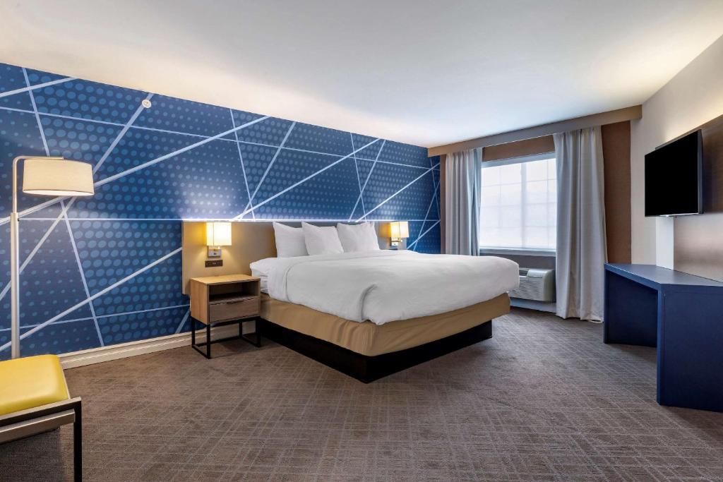 Suite King Bed Non Smoking