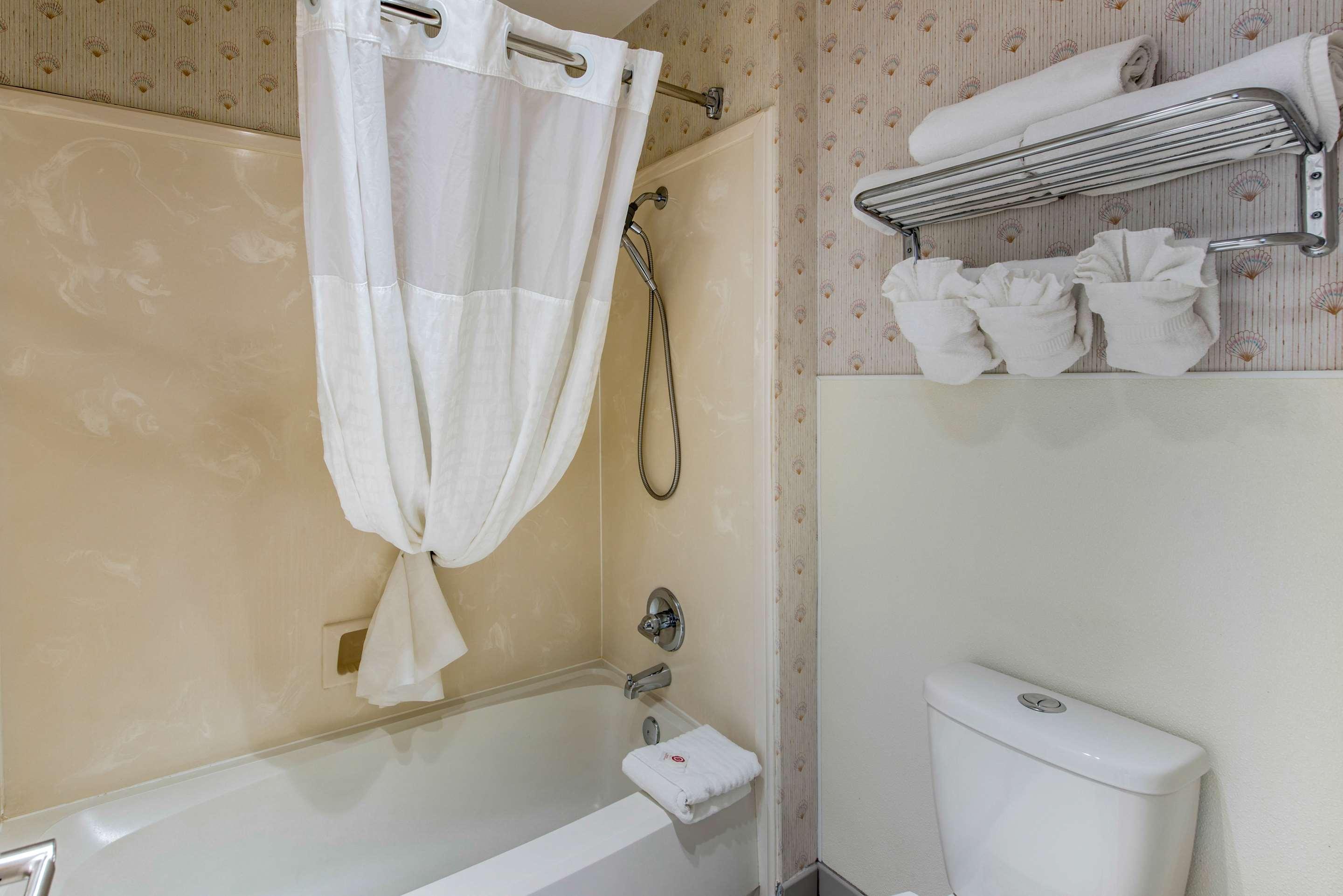 Suite King Bed Non Smoking