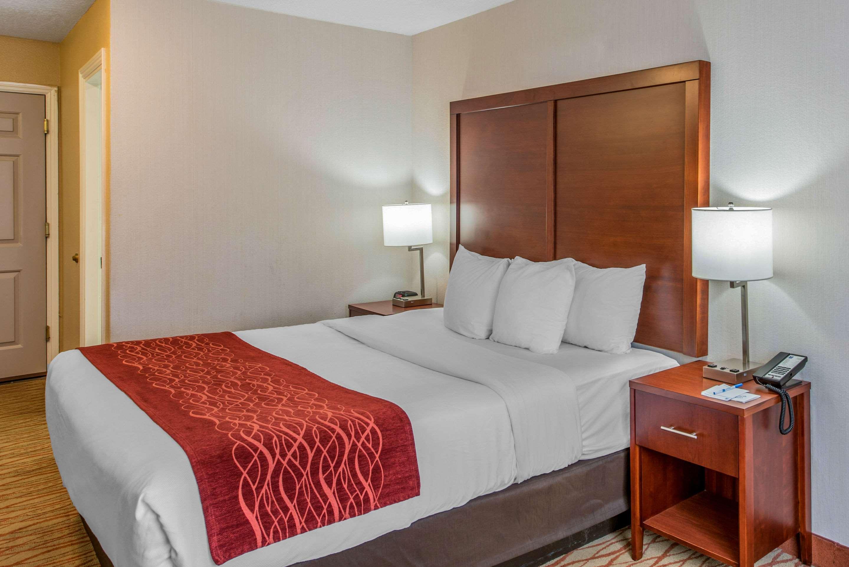 Double King Bed Non Smoking