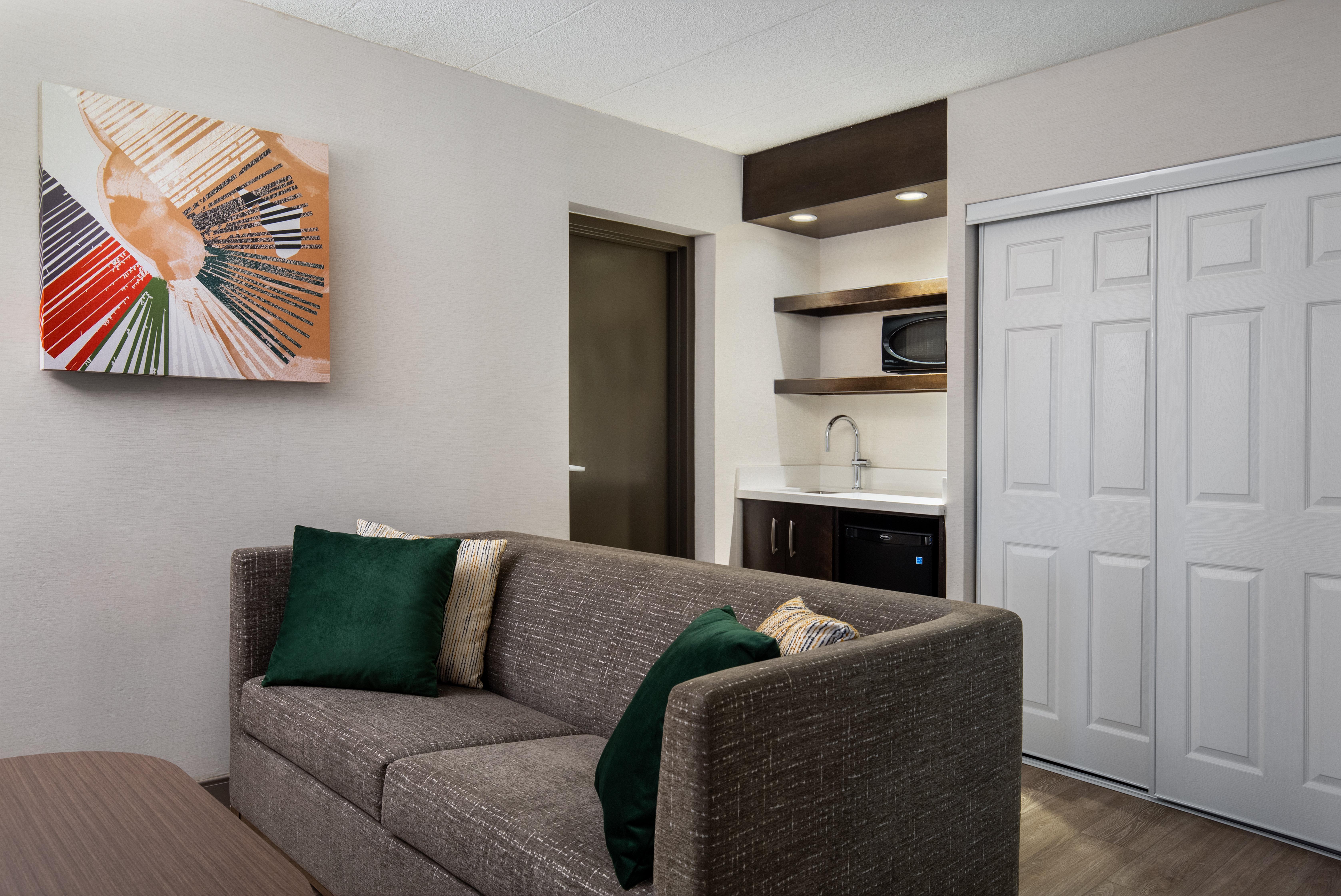 Suite King Bed One Bedroom 