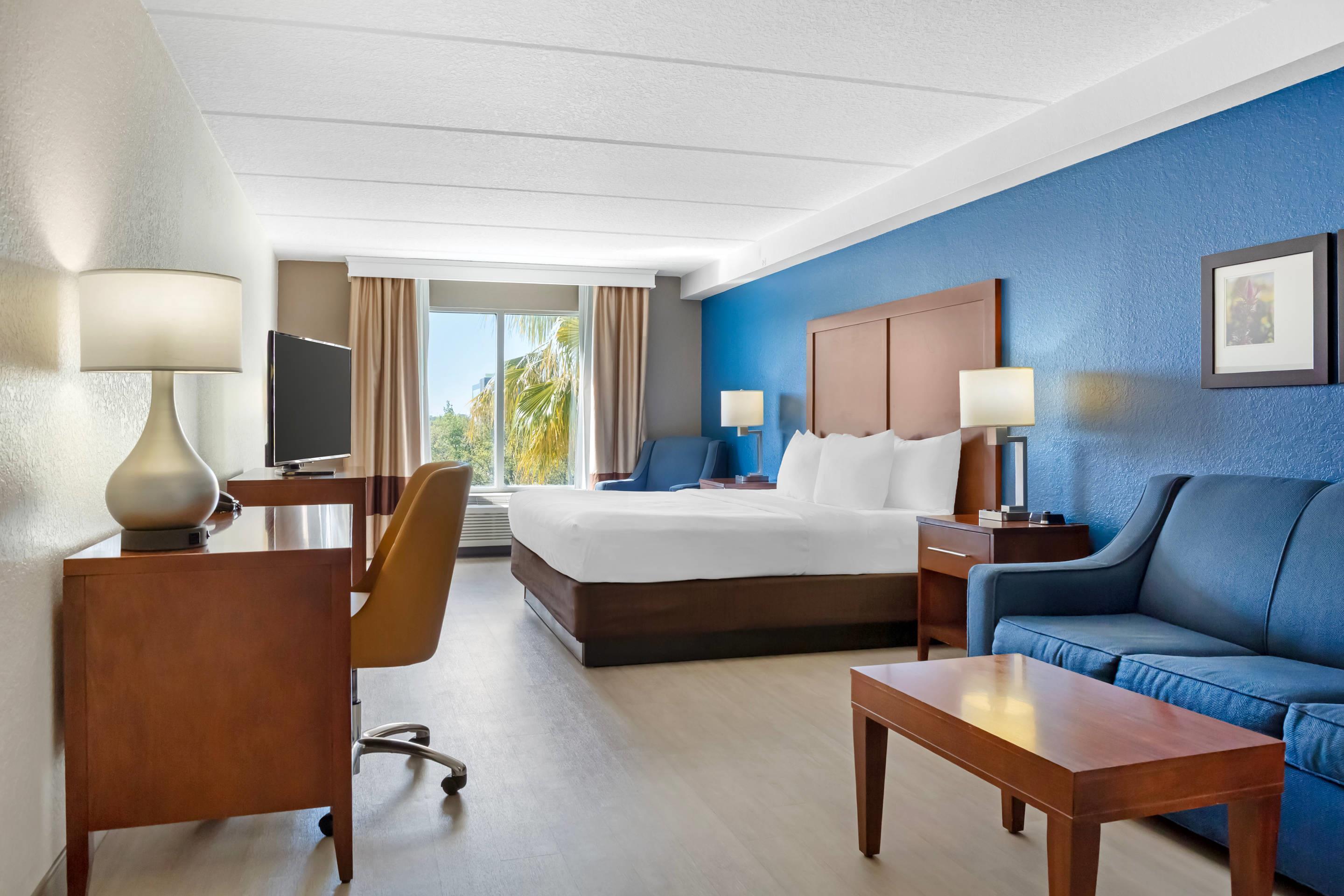 Suite King Bed Non Smoking