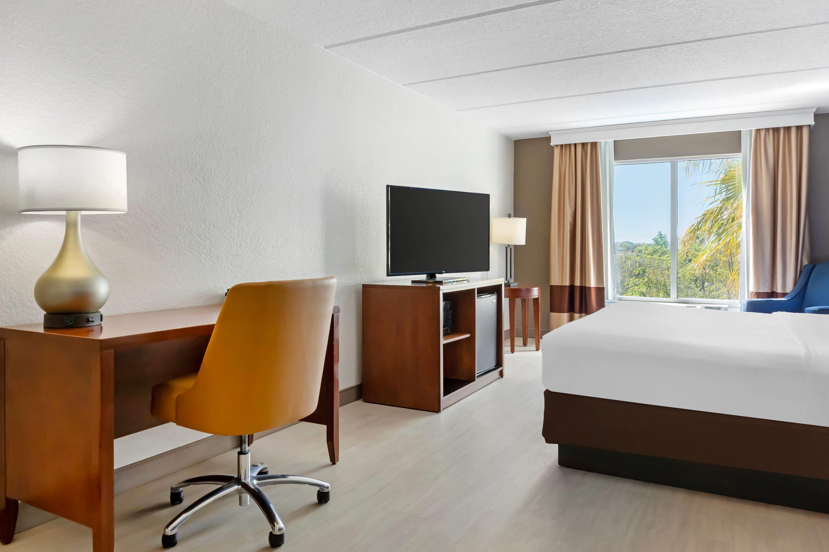 Suite King Bed Non Smoking