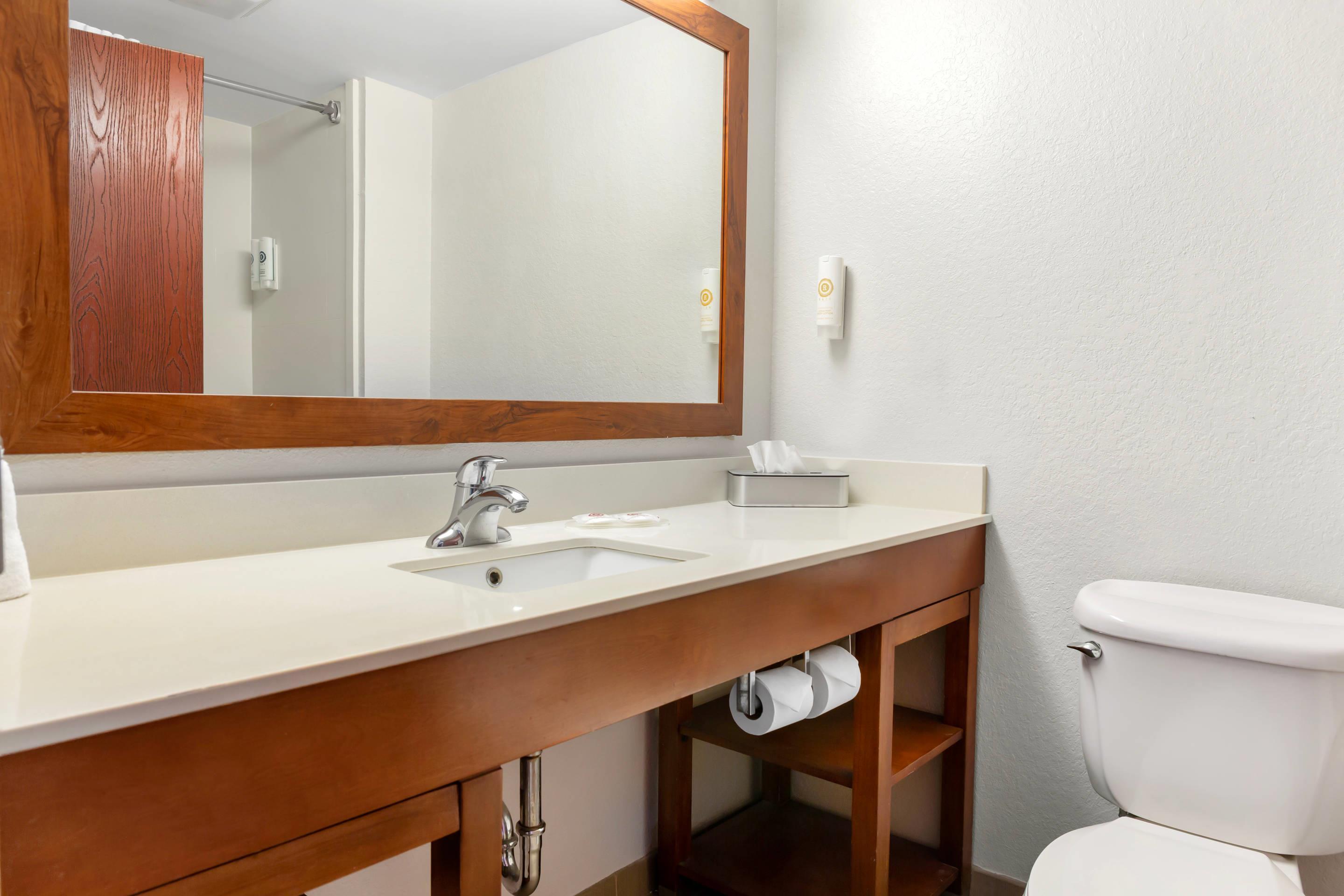 Suite King Bed Non Smoking