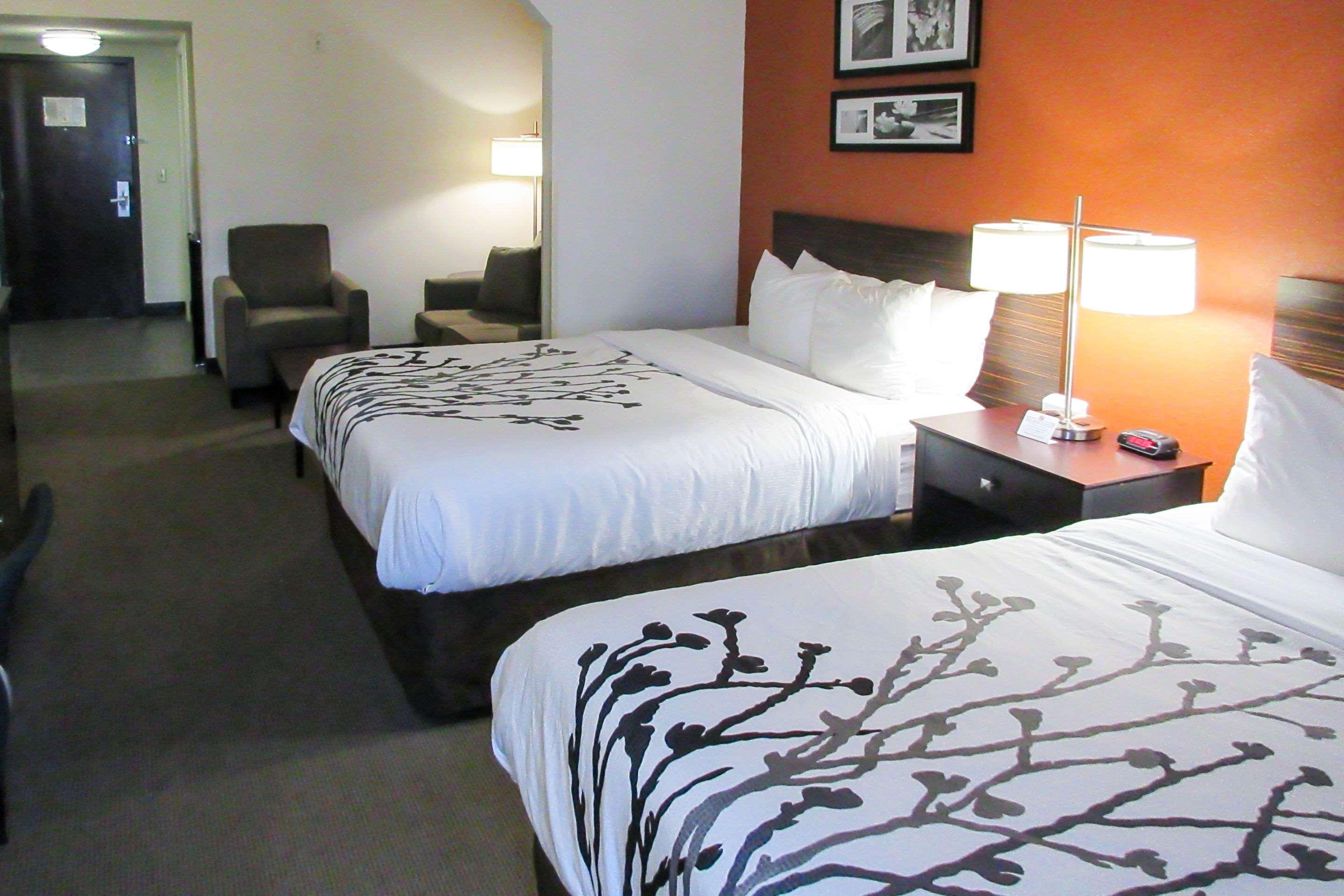 Suite Two Queen Beds