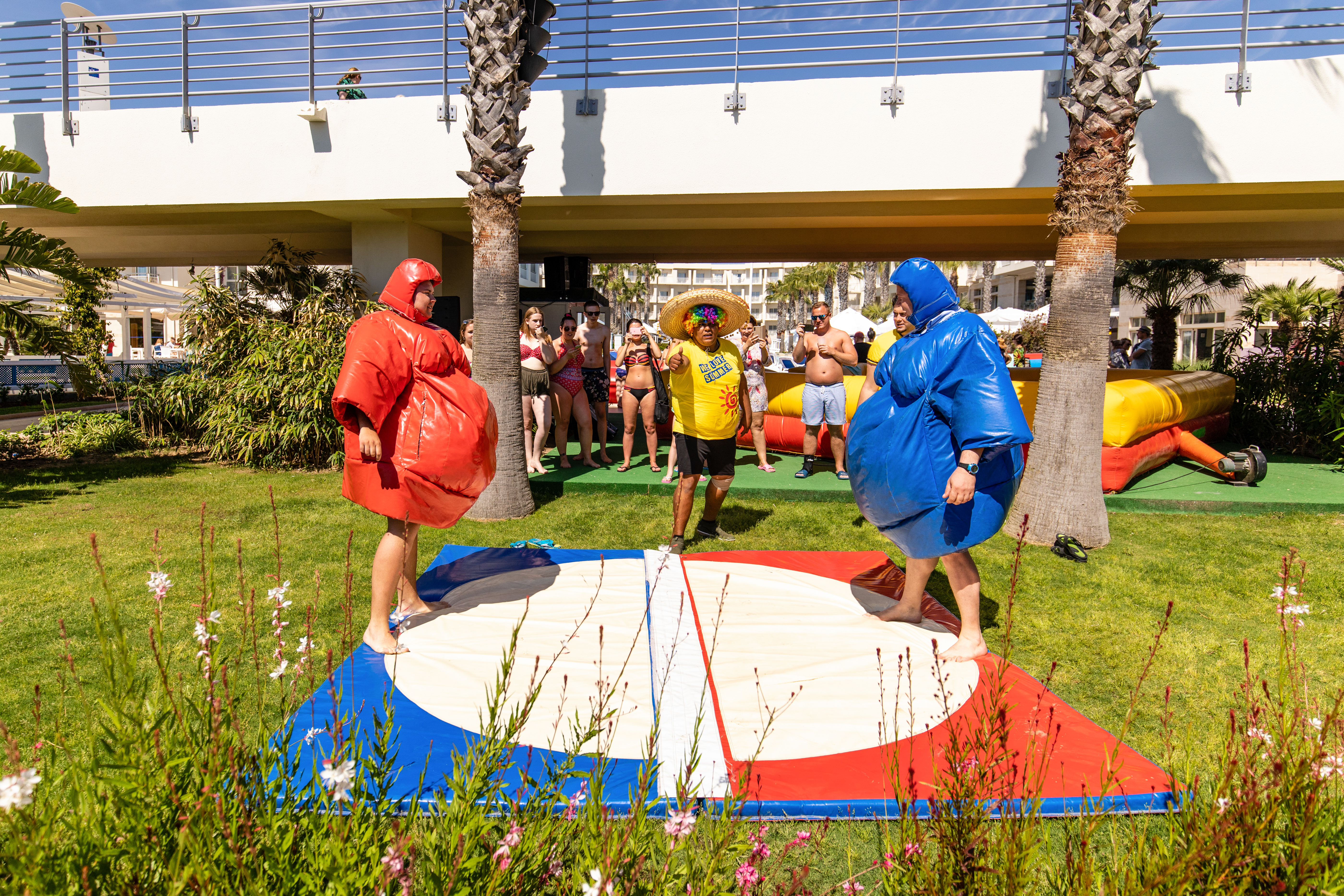 Sports and Entertainment