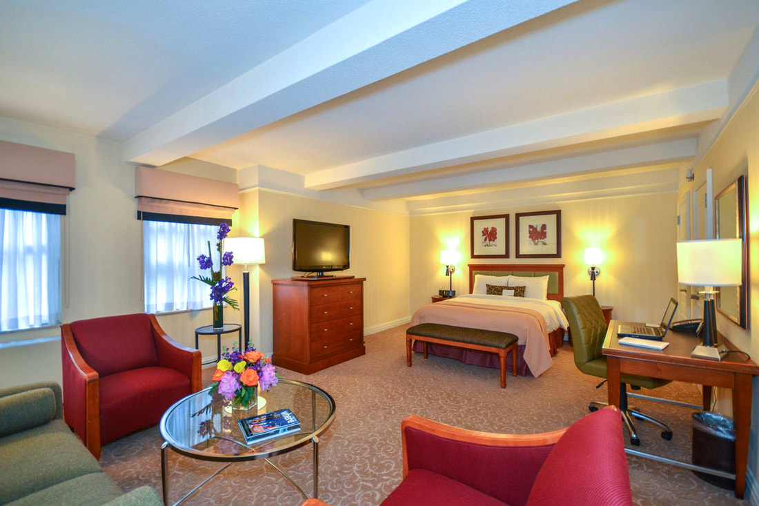 Junior Suite Executive King Bed