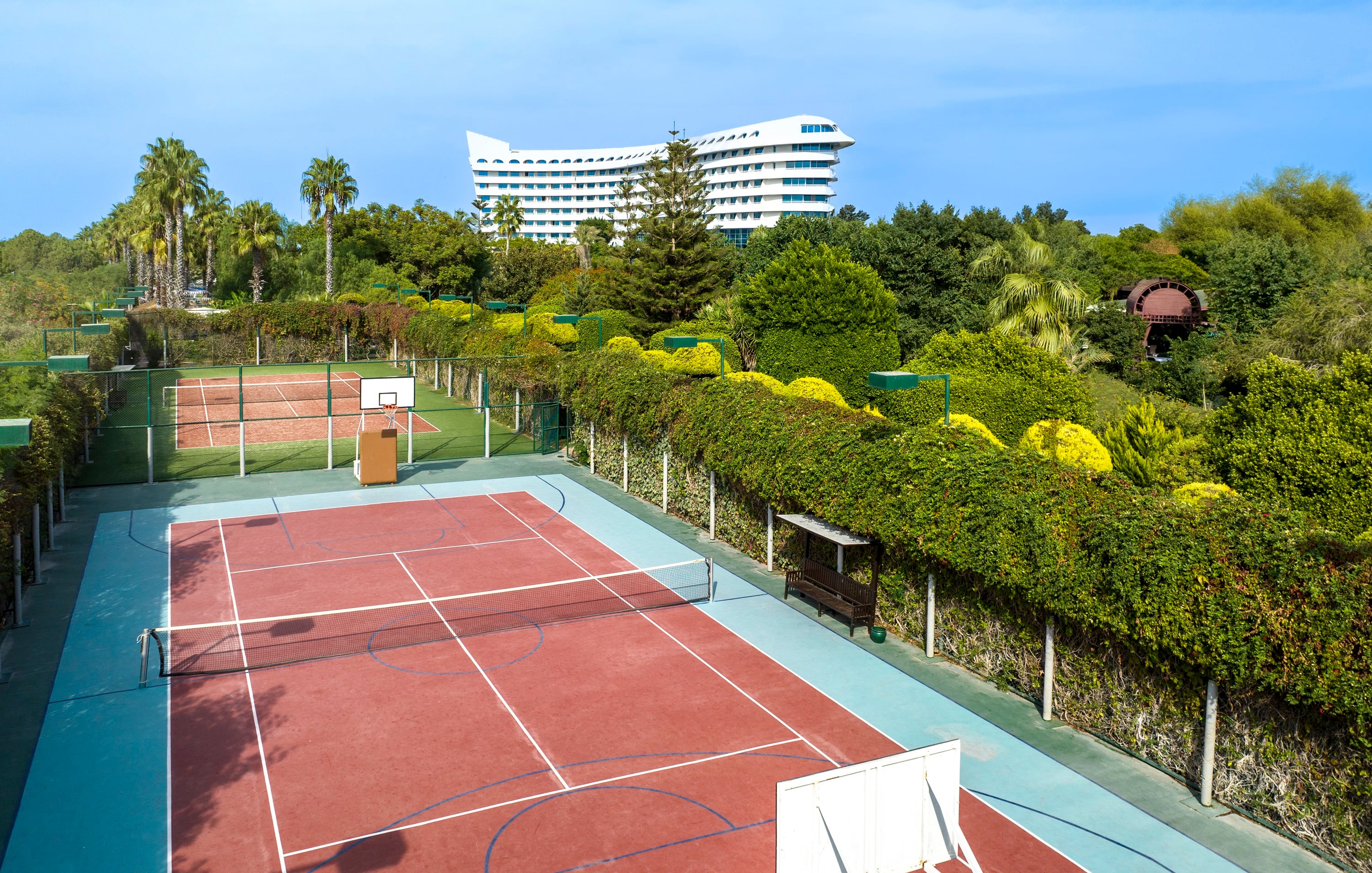 Sports and Entertainment