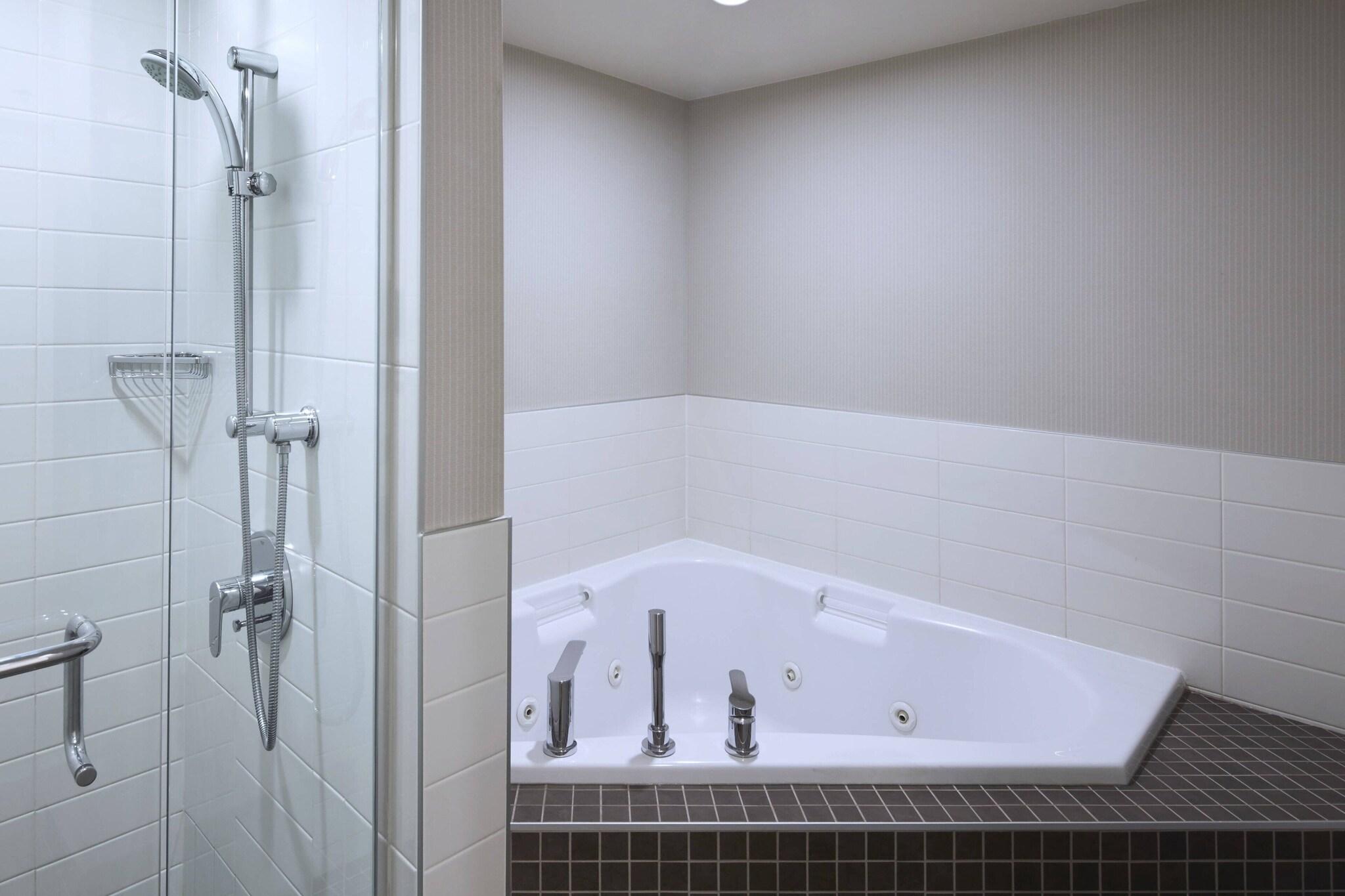 Suite King Bed One Bedroom 