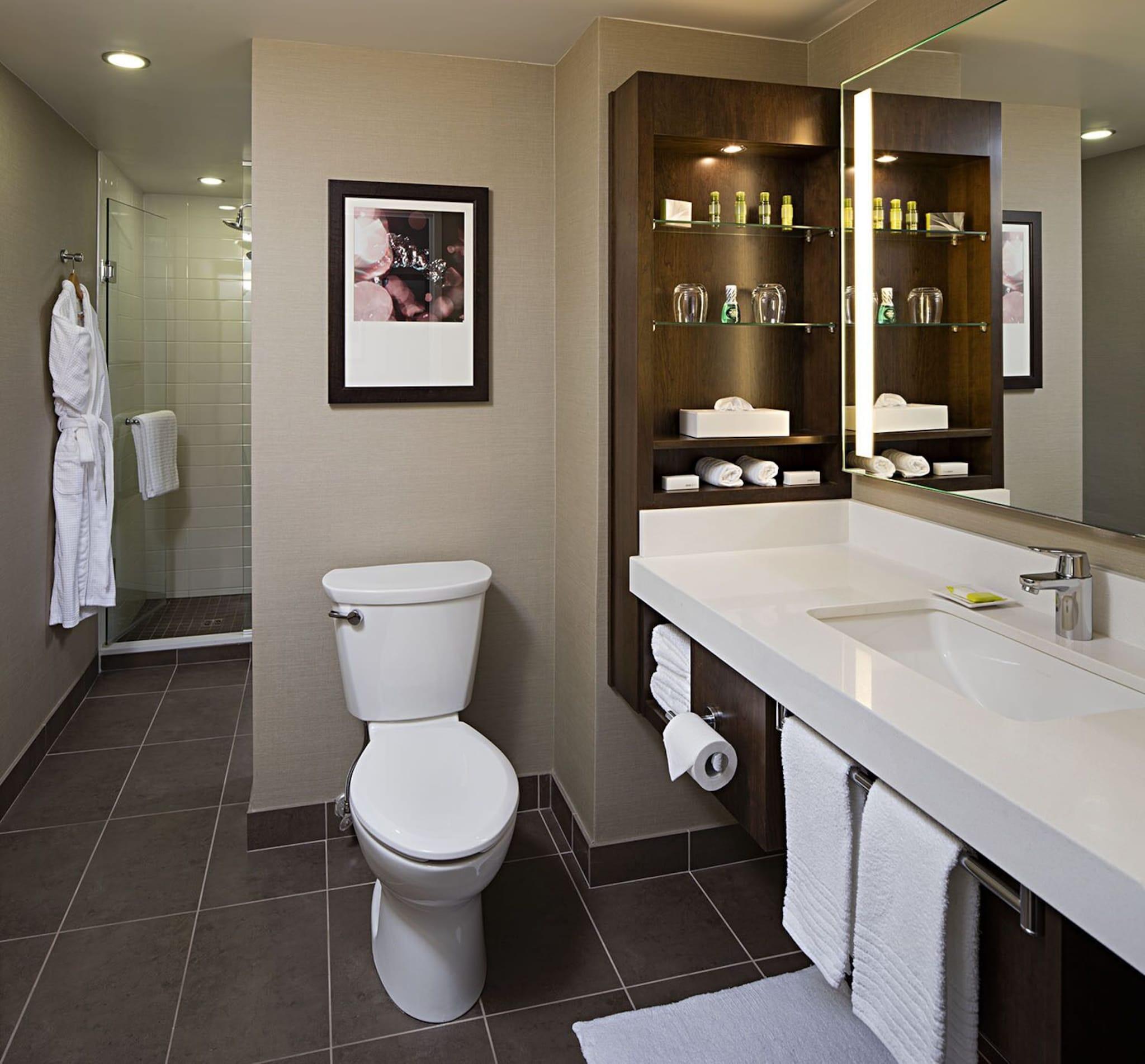 Suite King Bed One Bedroom 