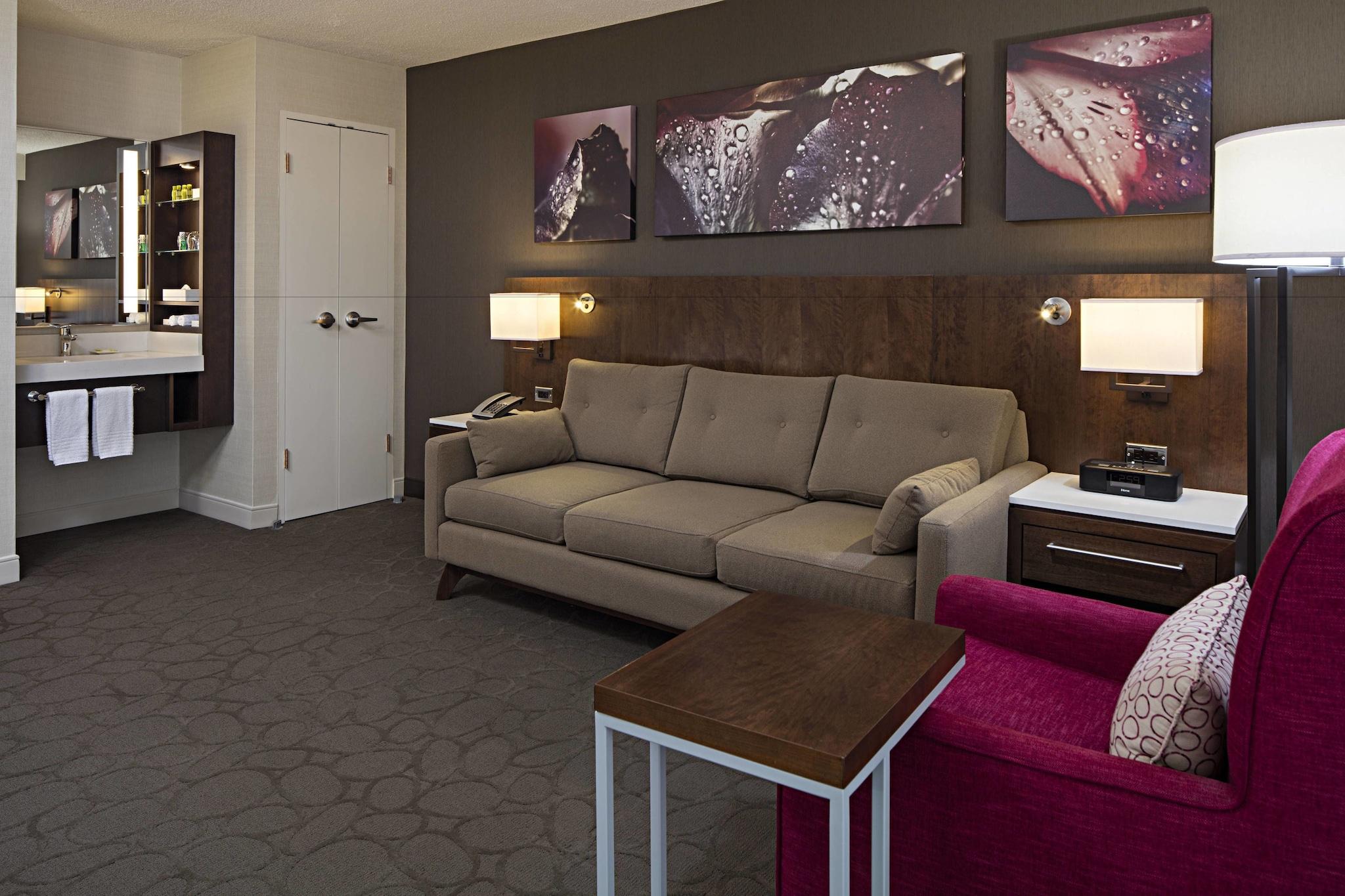 Suite King Bed One Bedroom 