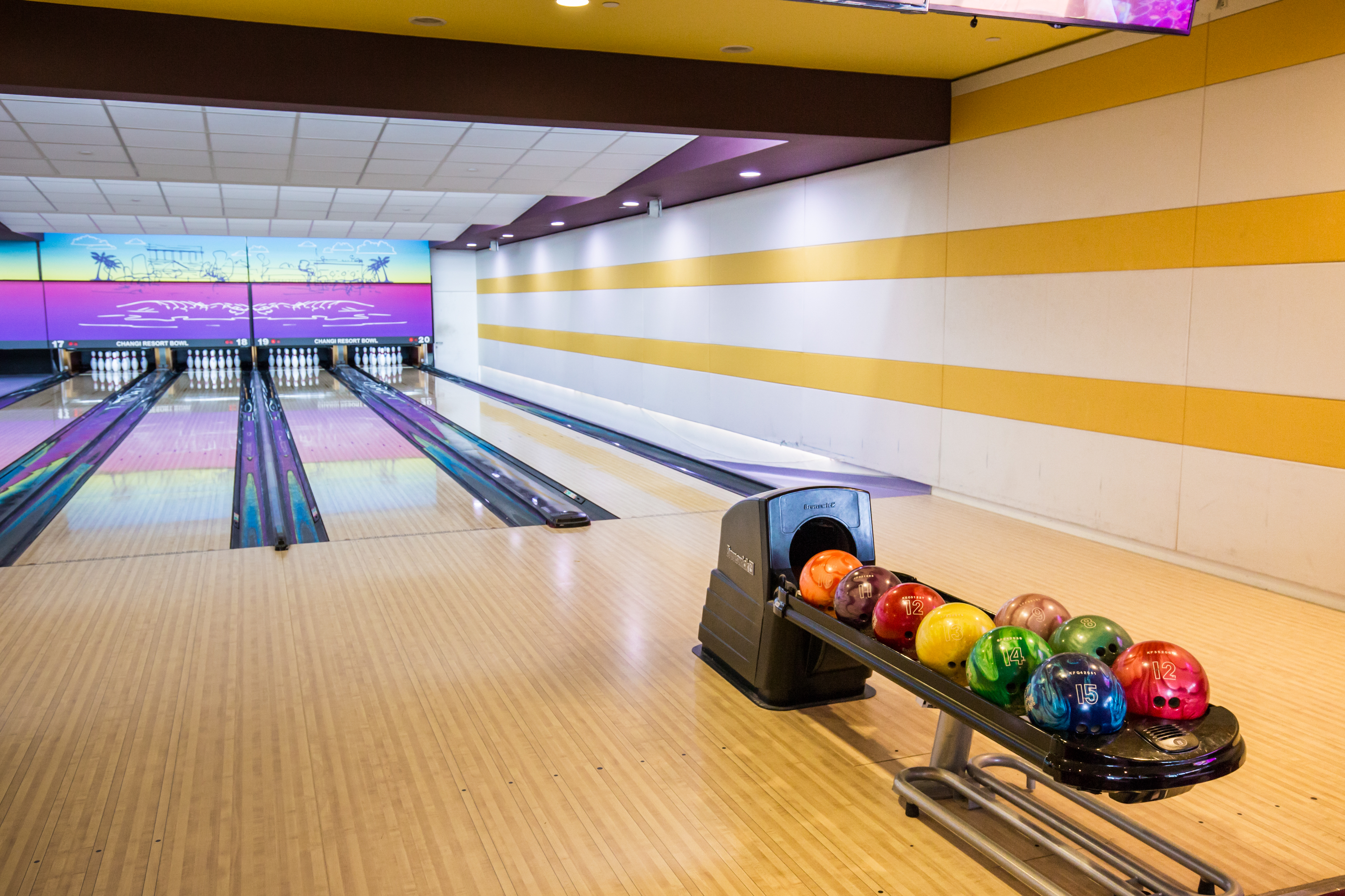 Sports and Entertainment