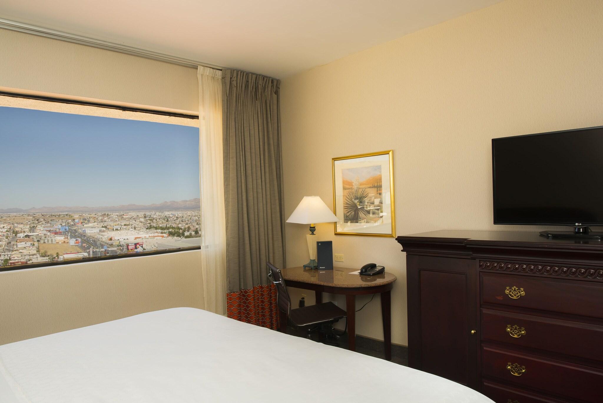 Double City View King Bed