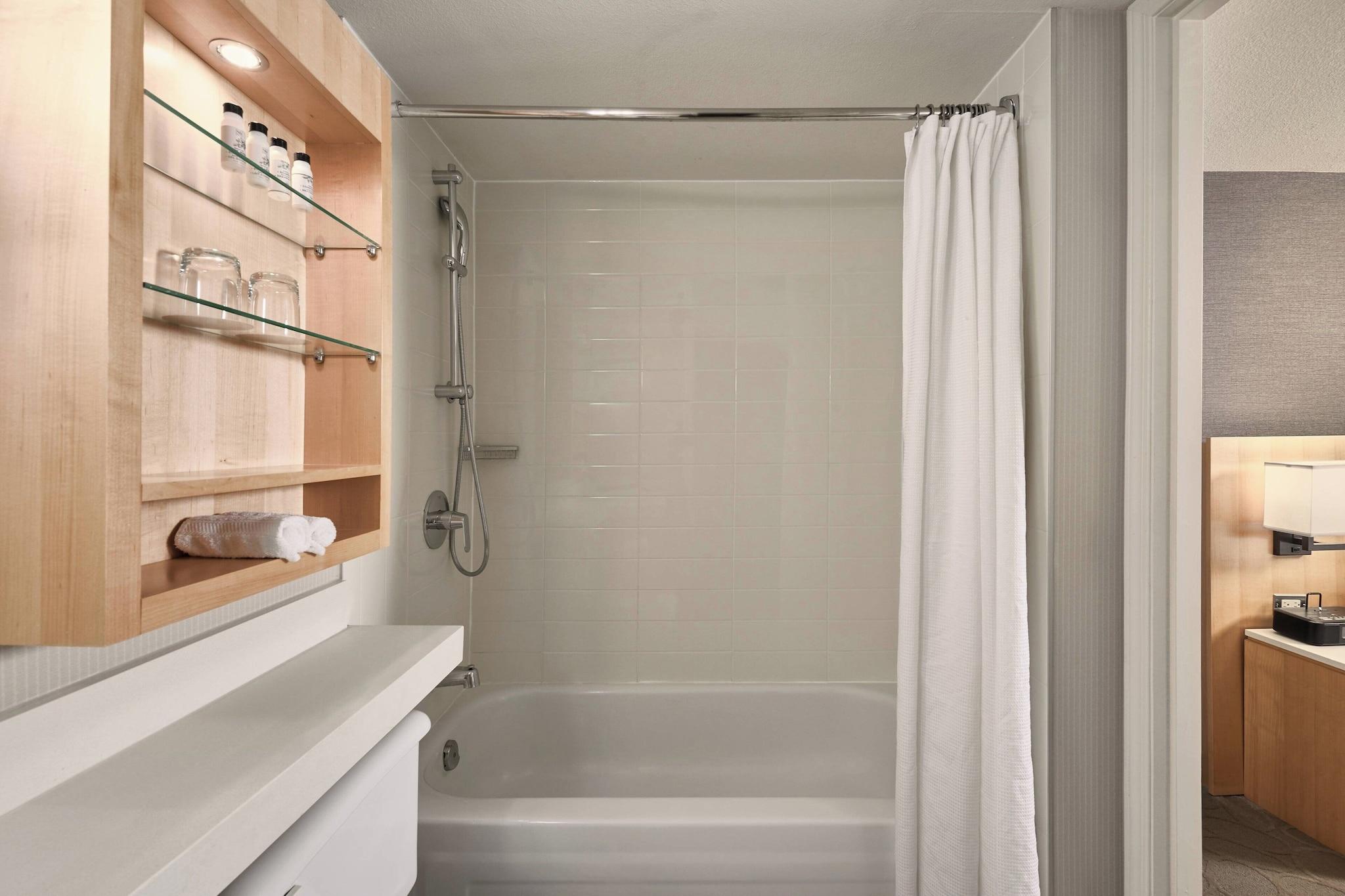 Suite King Bed Non Smoking