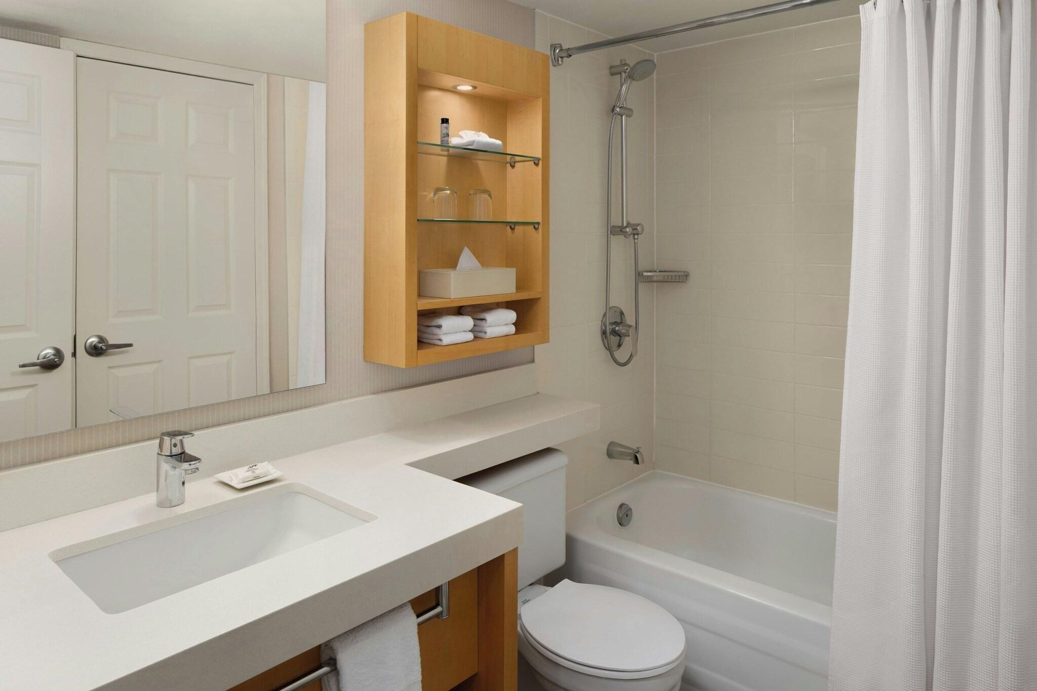 Suite King Bed Non Smoking