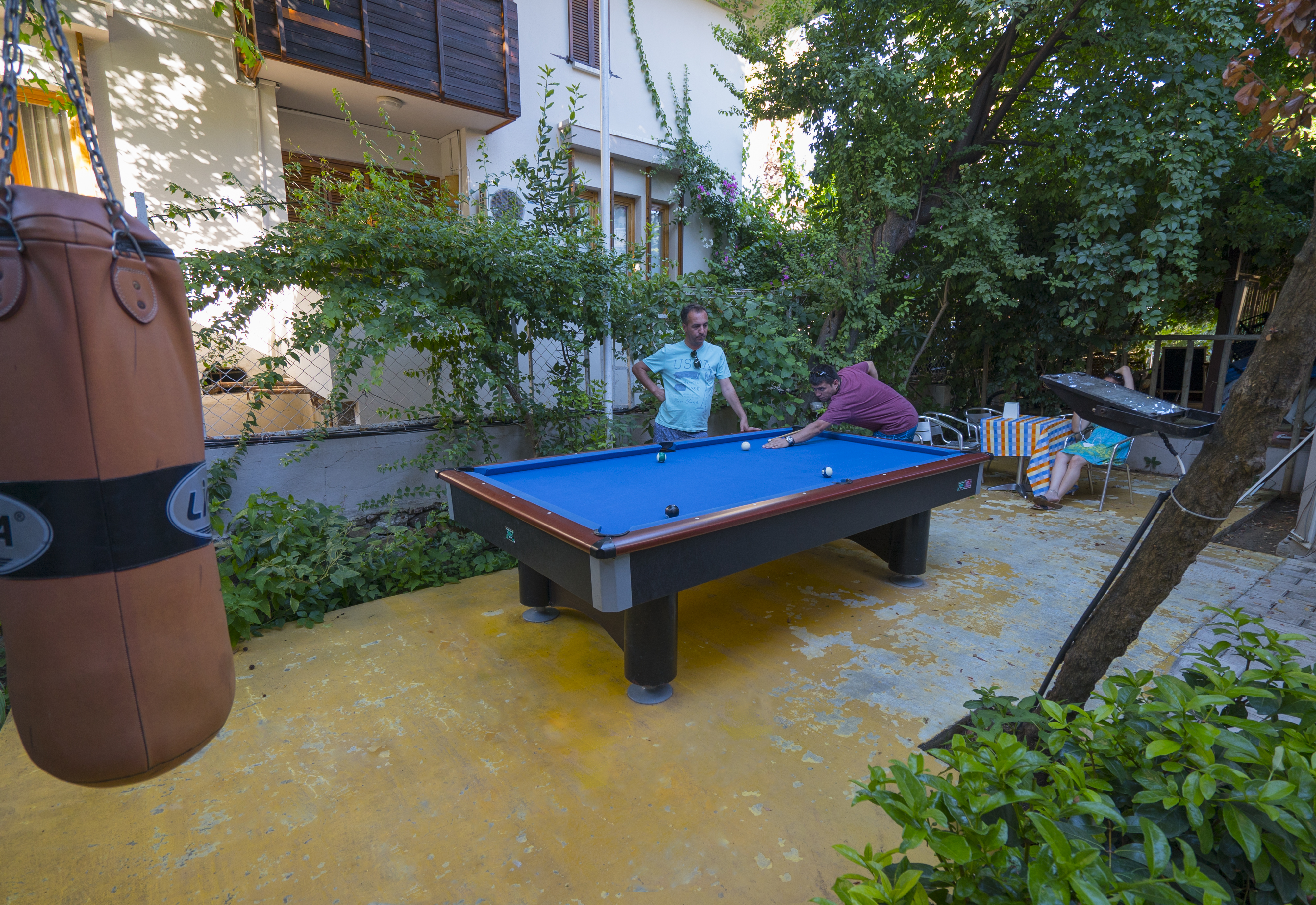 Sports and Entertainment