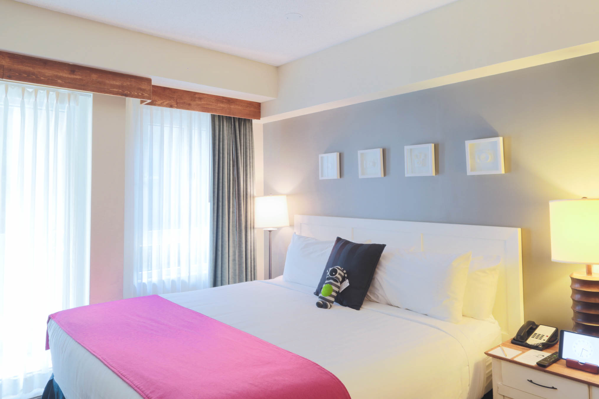 Suite Deluxe Queen Bed