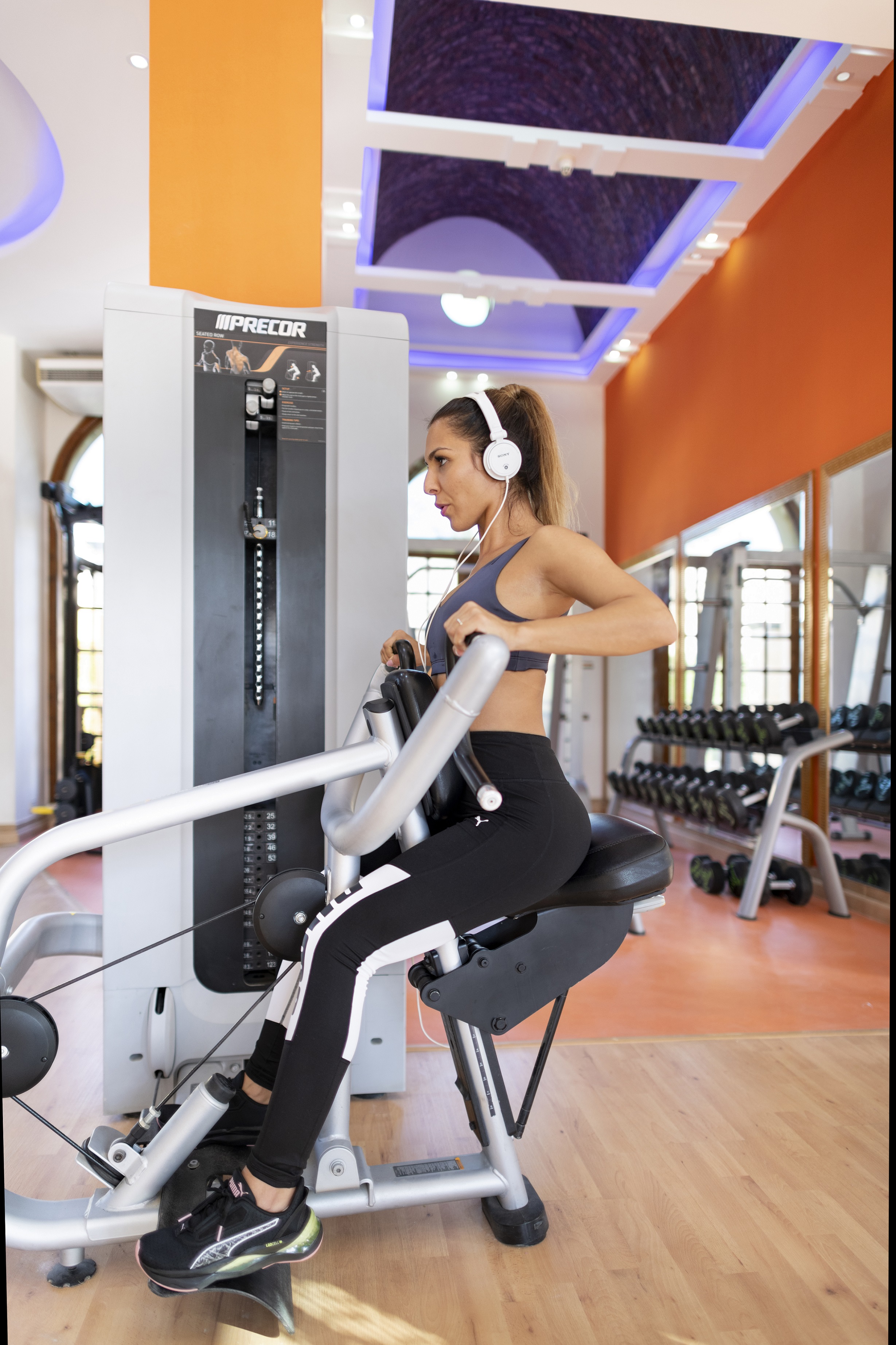 Sports and Entertainment