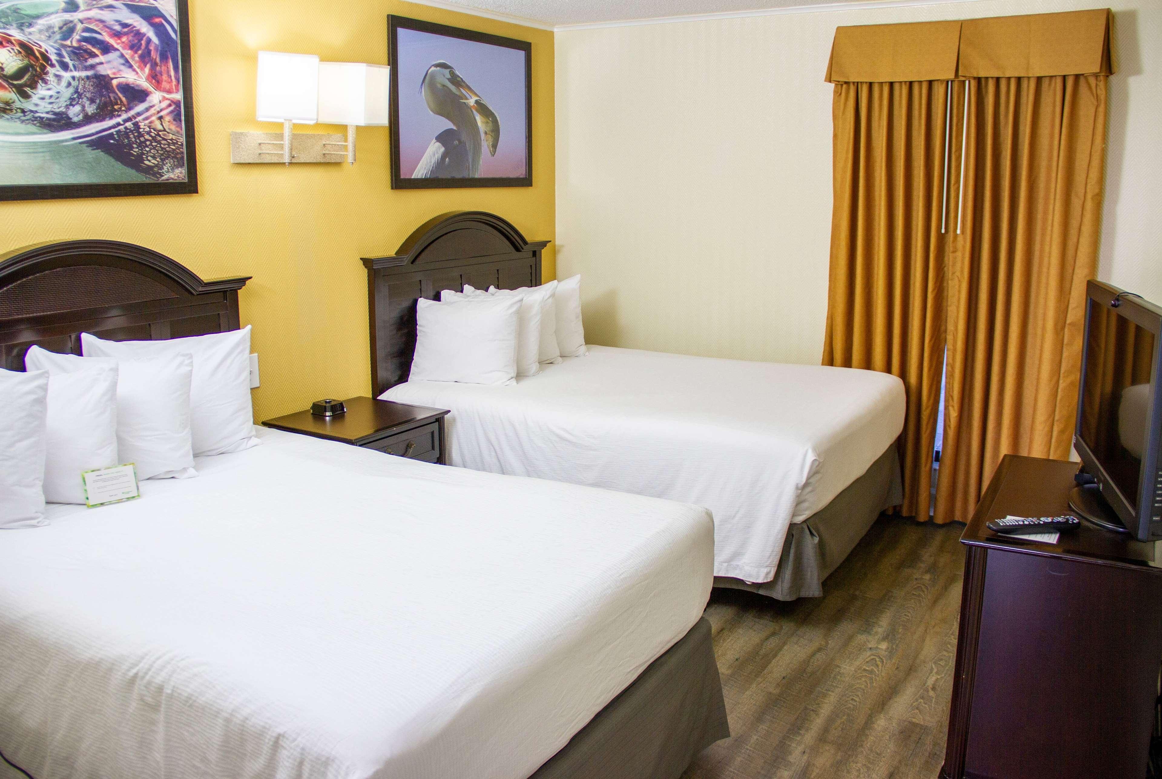 Suite Two Double Beds Non Smoking