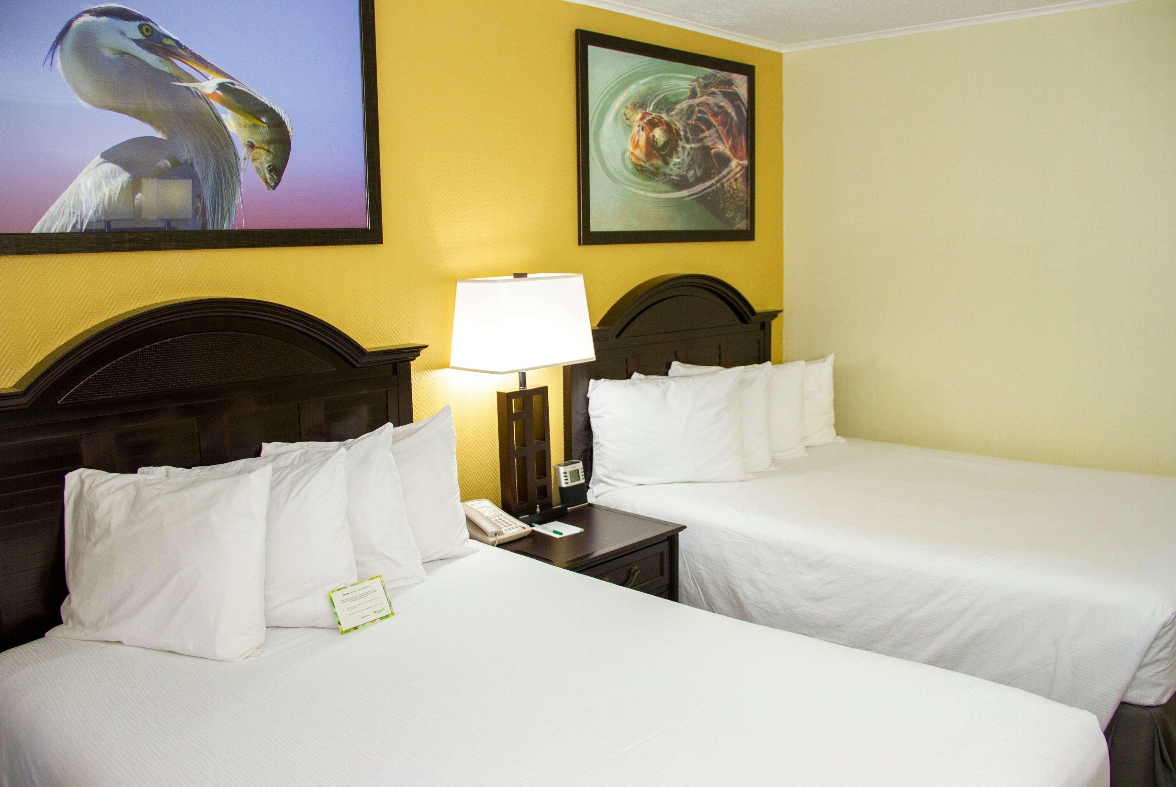 Double Deluxe Two Double Beds