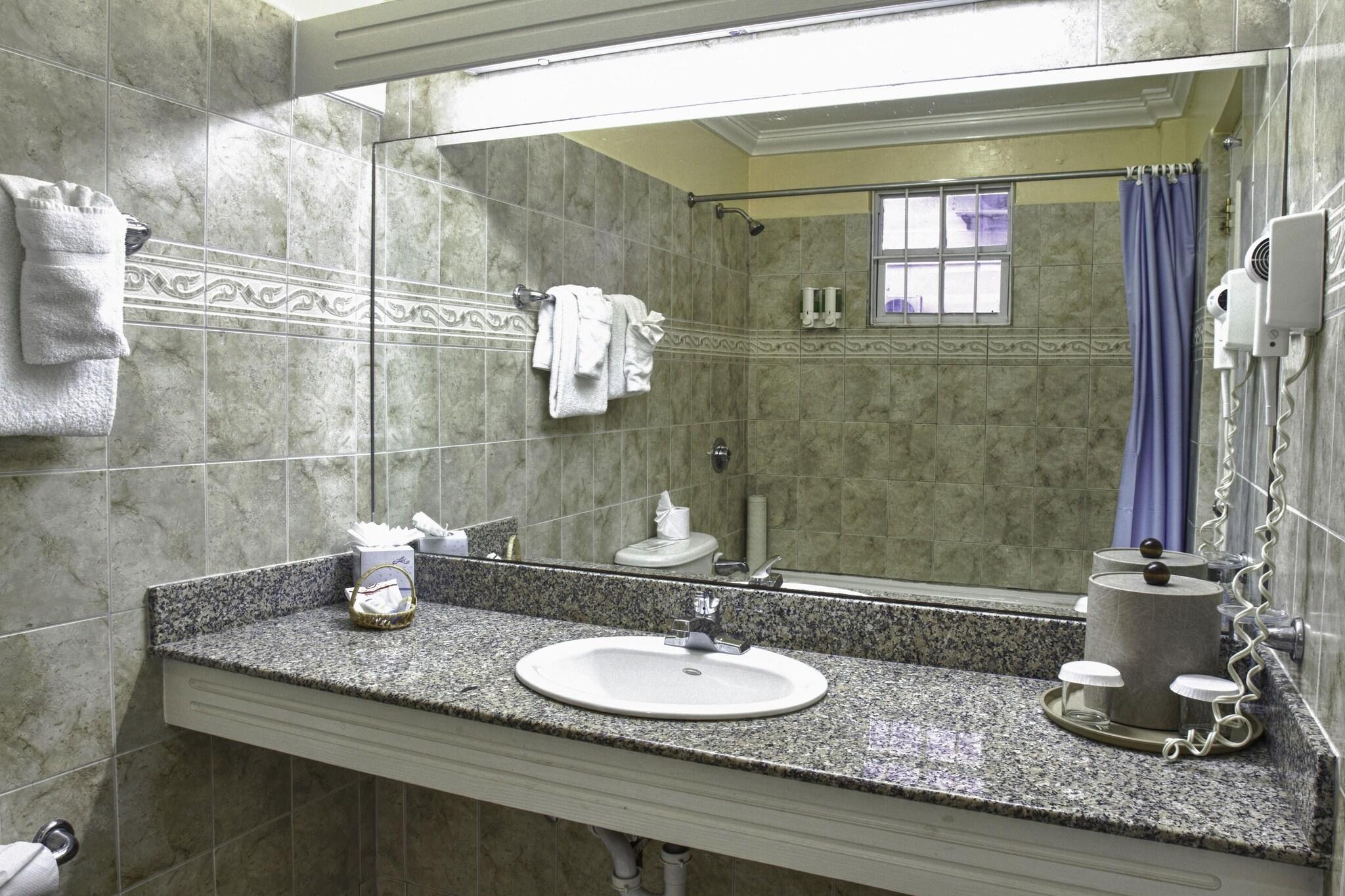 Suite King Bed One Bedroom 