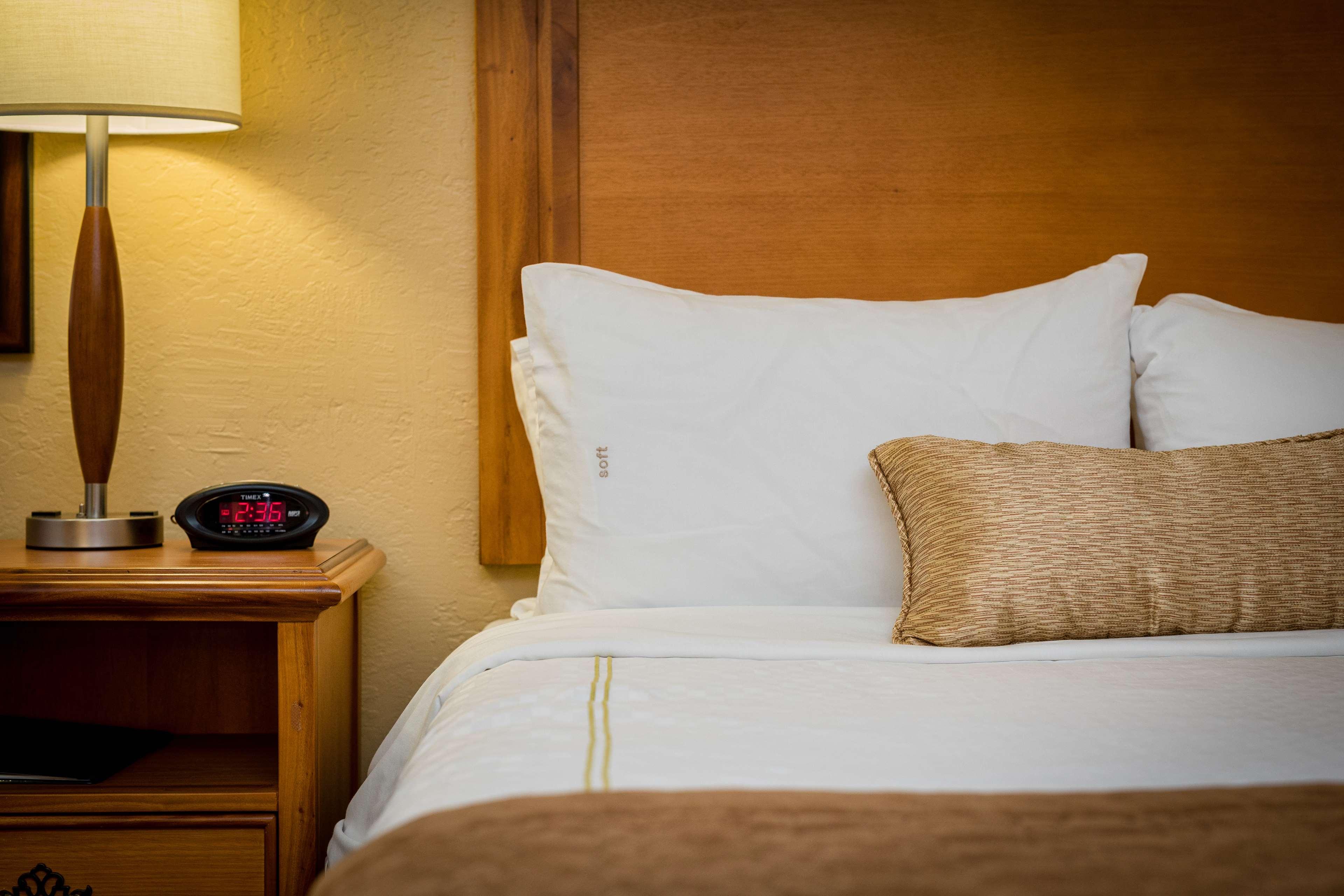 Junior Suite King Bed Non Smoking