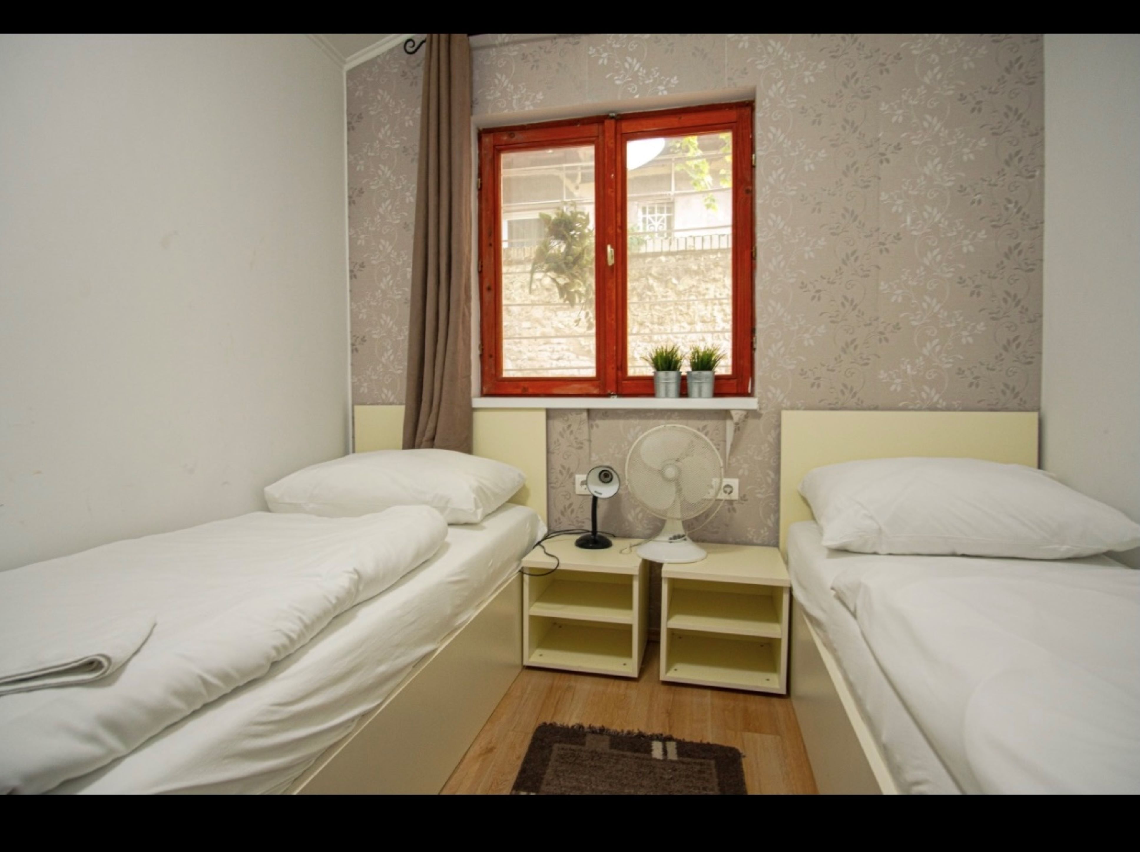 Double or Twin Economy