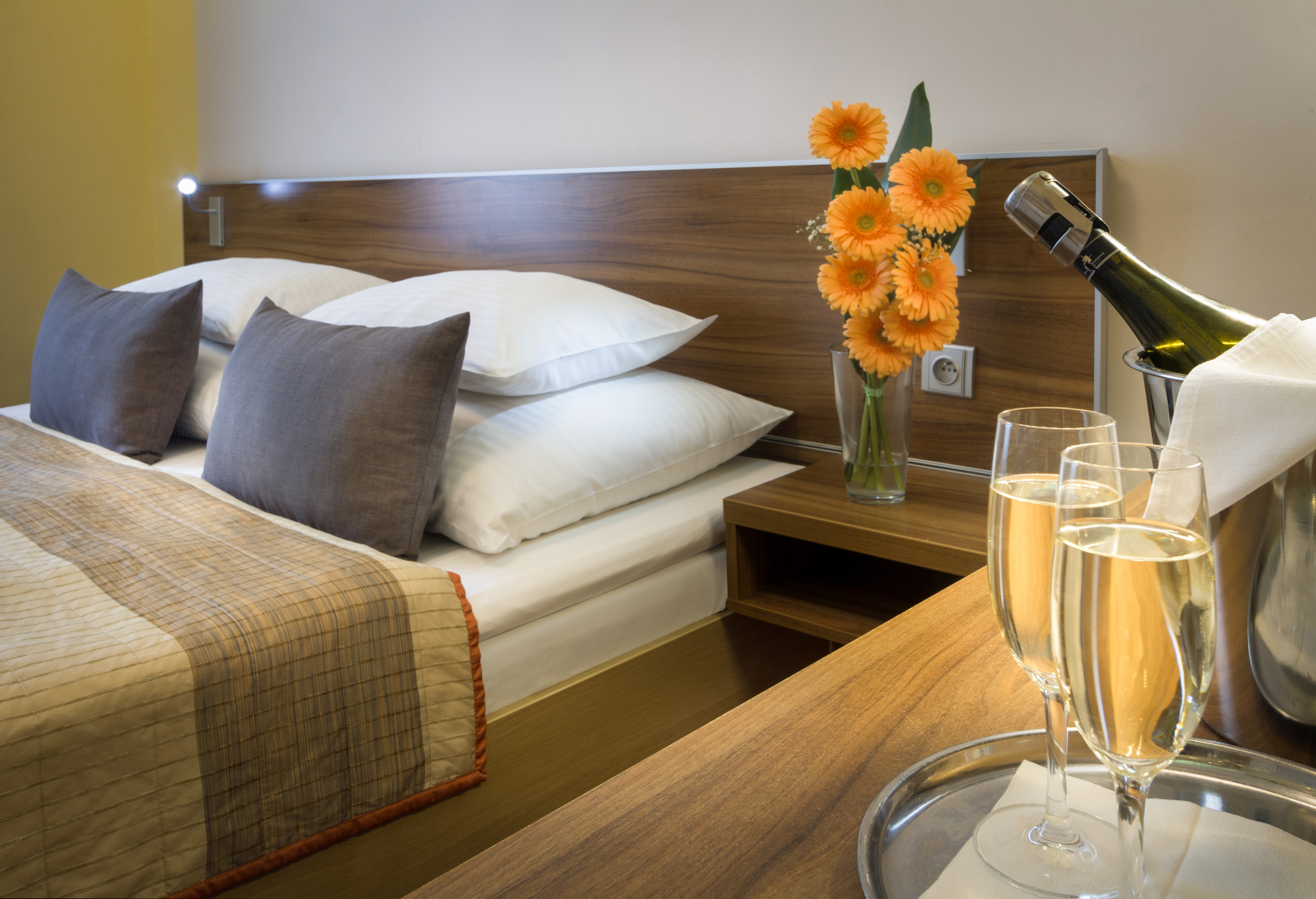 Double or Twin Standard